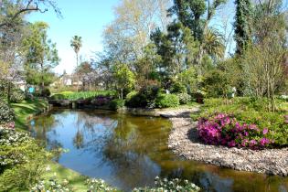 Jardin Japones Jardin Japones