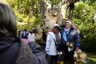 Excursión de personas mayores Excursión de personas mayores