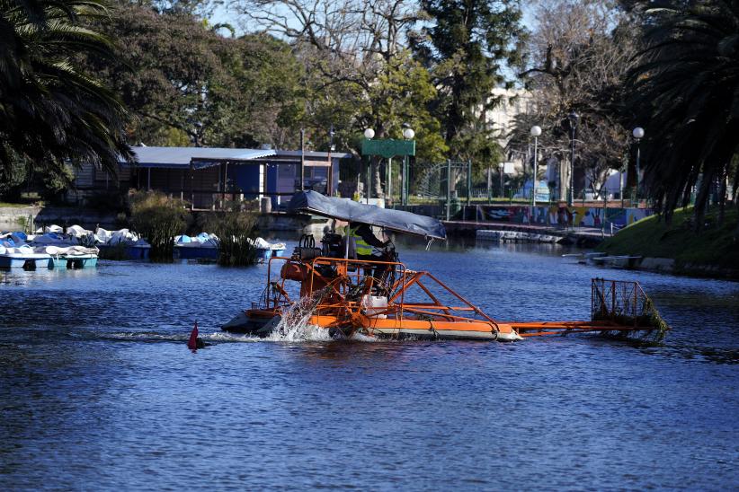 Limpieza del lago del Parque Rodó 