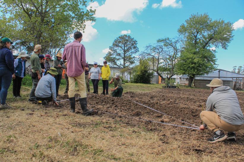 Plantación de frutales ecológicos en el PAGRO