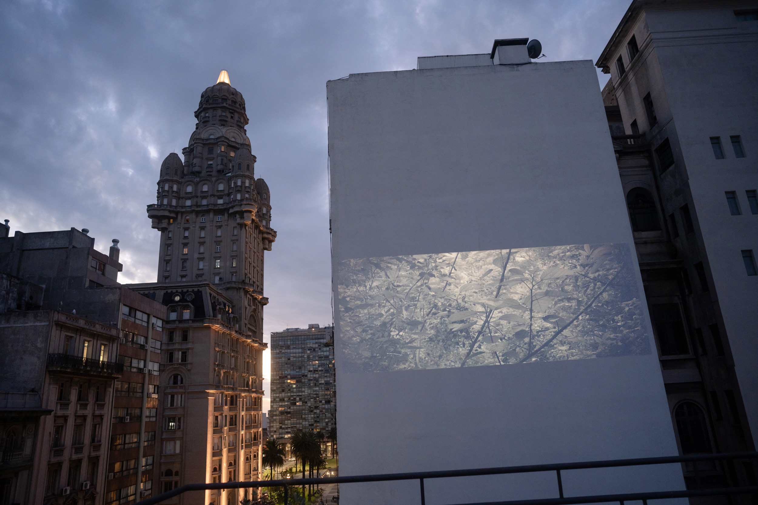 Cine en la azotea, ciclo de películas al aire libre en la azotea verde del CdF