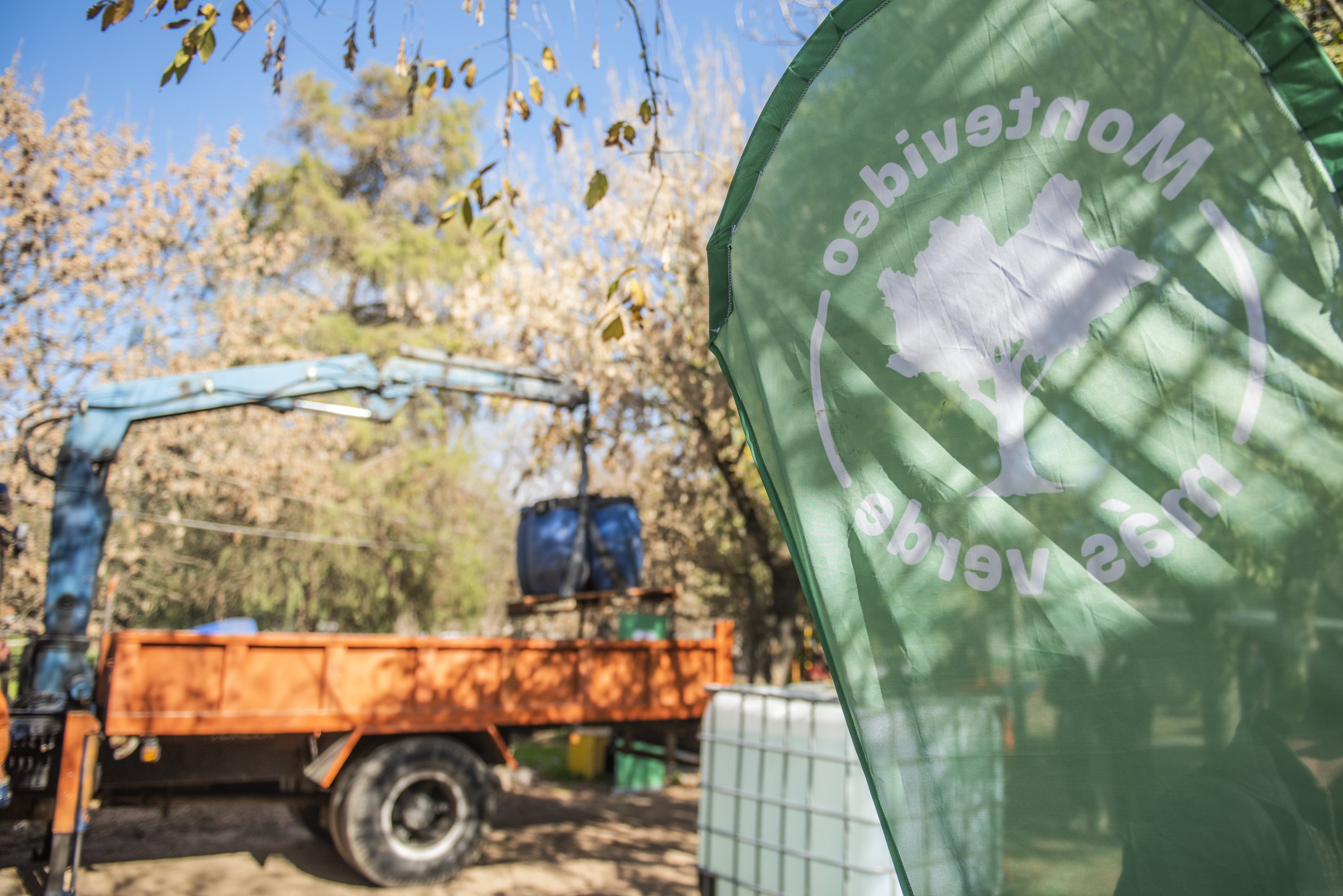 Distribución de agua en refugio de animales