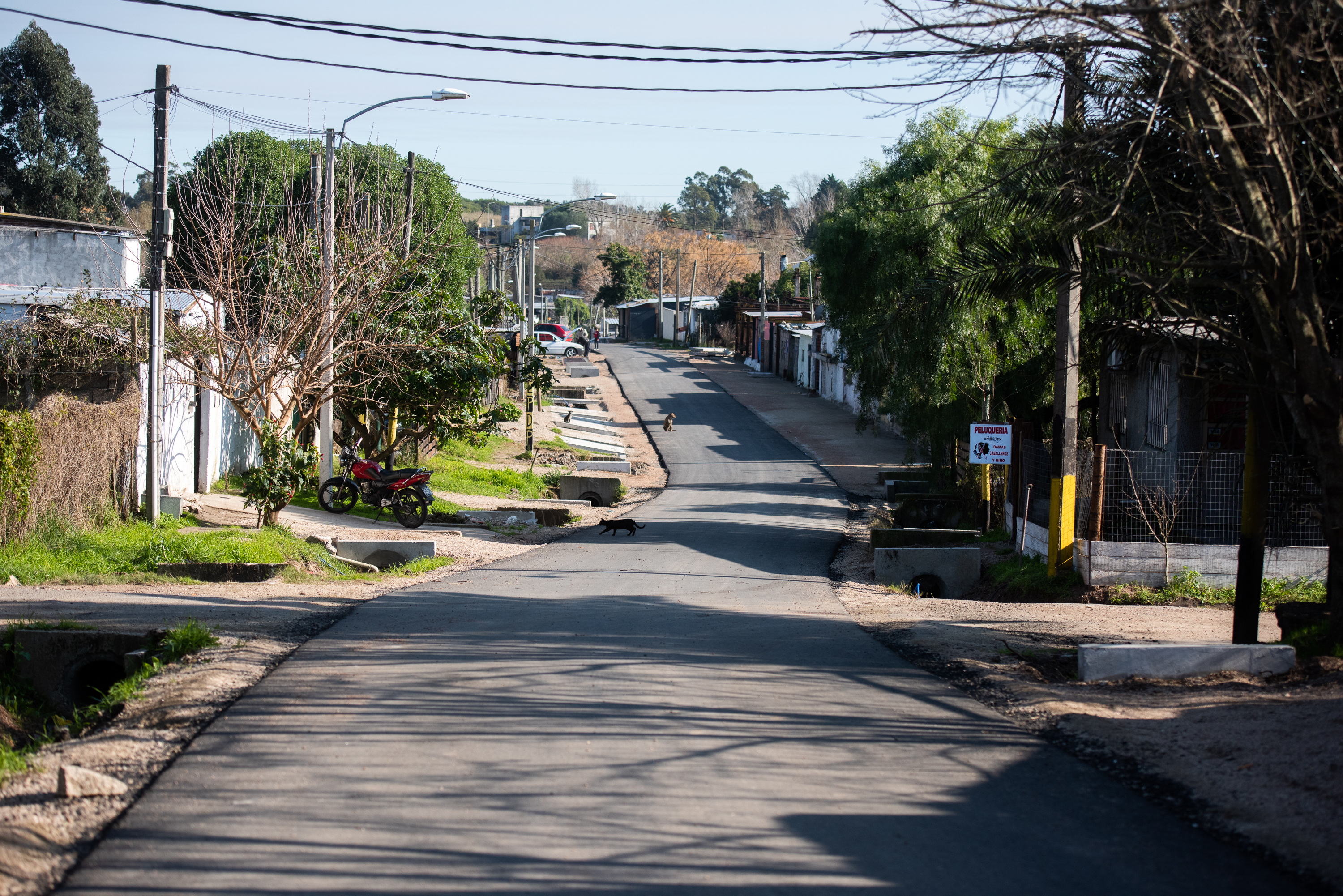 Segundo tramo de asfaltado en barrio La Carbonera