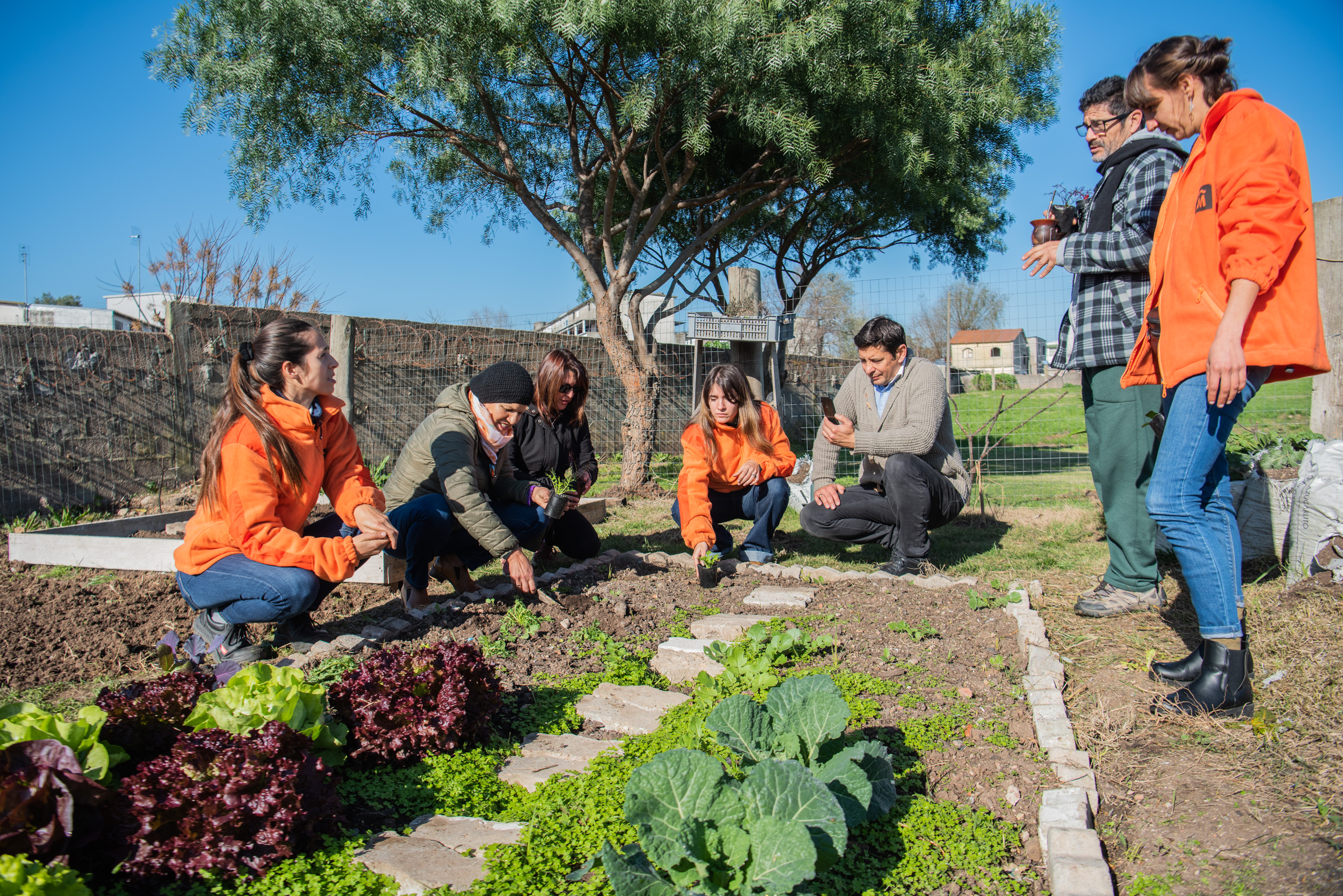 Cooperativas integrantes de la estrategia ambiental Montevideo Más Verde 