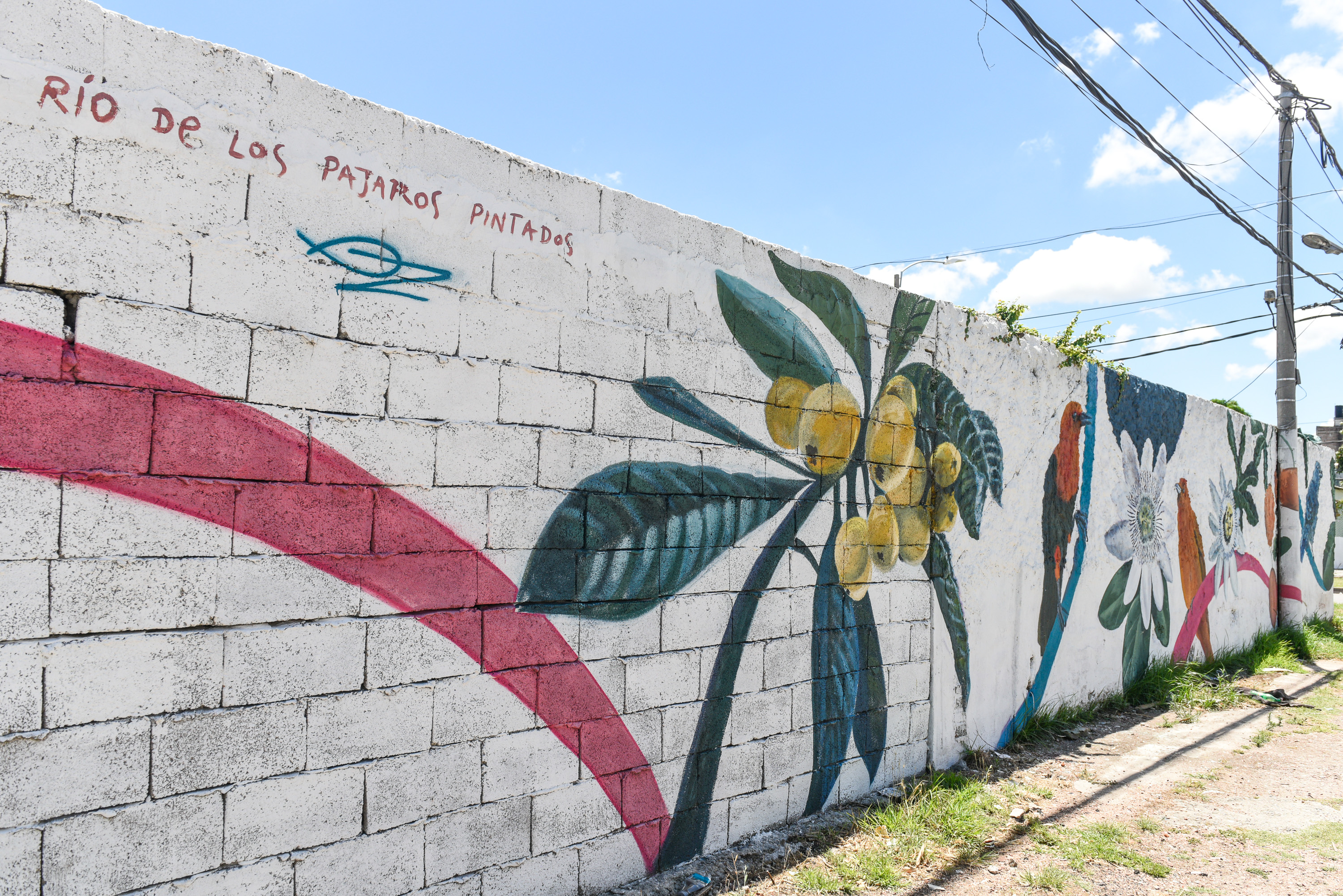 Murales en  barrio Unión y Villa Española  
