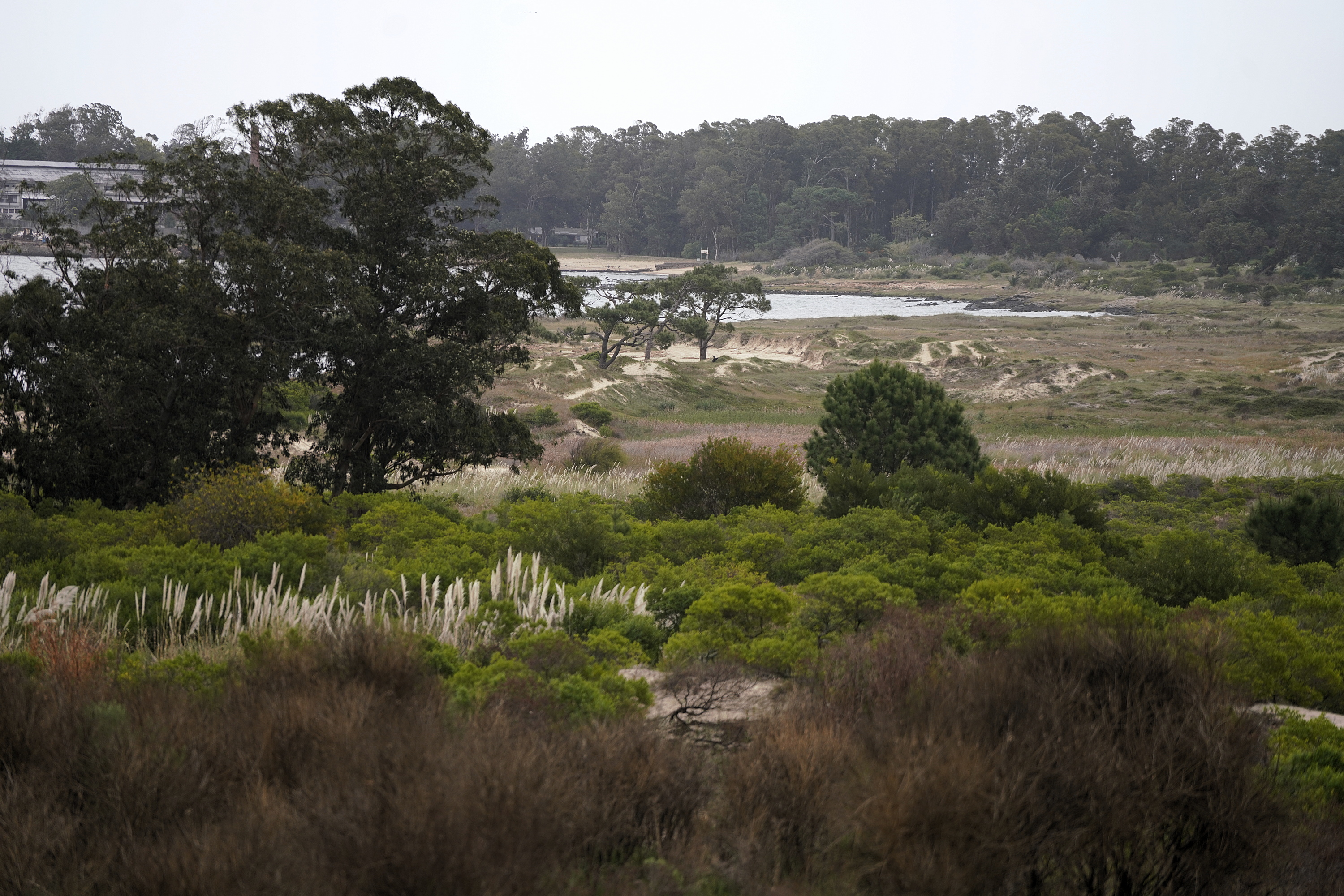 Parque Público Punta Yeguas