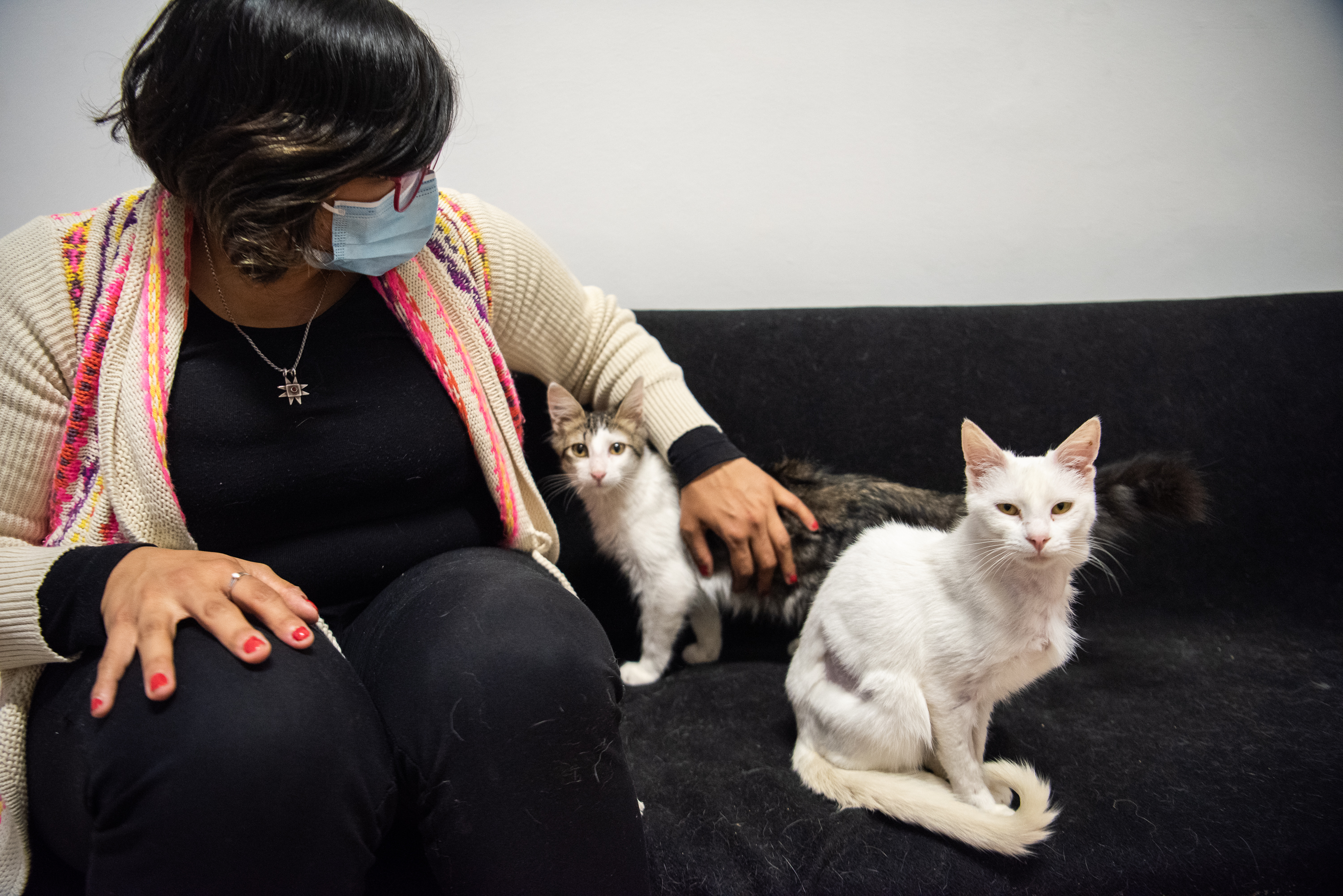 Inauguración del primer Centro de adopción permanente en Montevideo de Animales sin Hogar