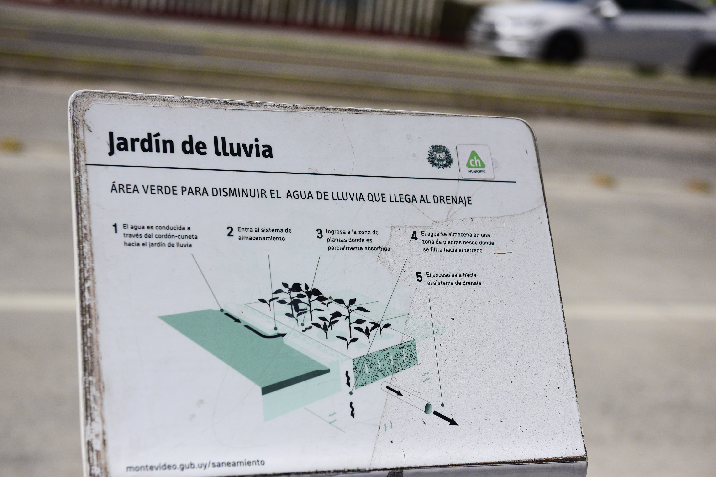 Jardines de lluvia ubicados en la Av. Dr. Luis Alberto de Herrera entre José Mazzini y República de El Salvador