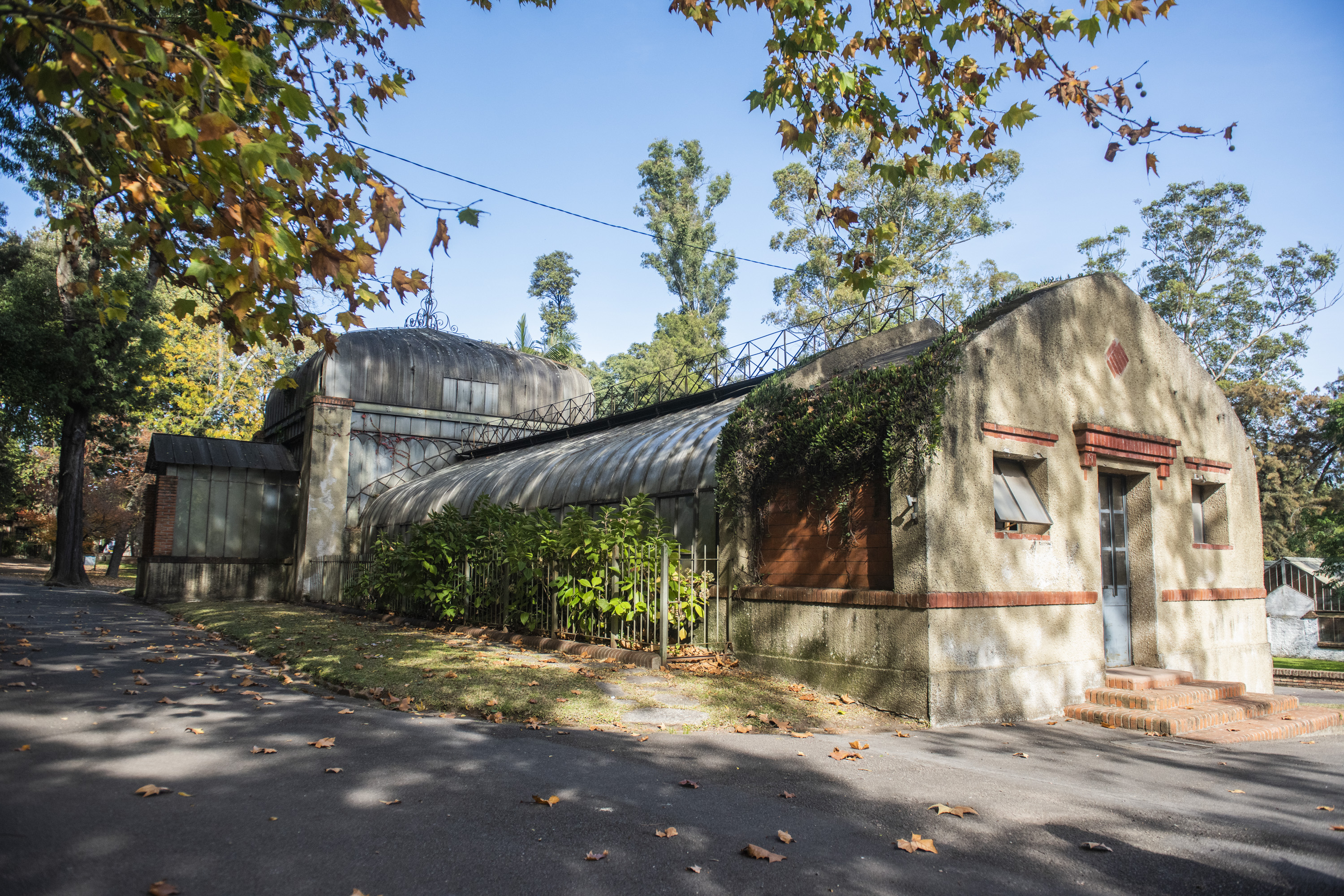 Invernáculo del Museo y Jardín Botánico 