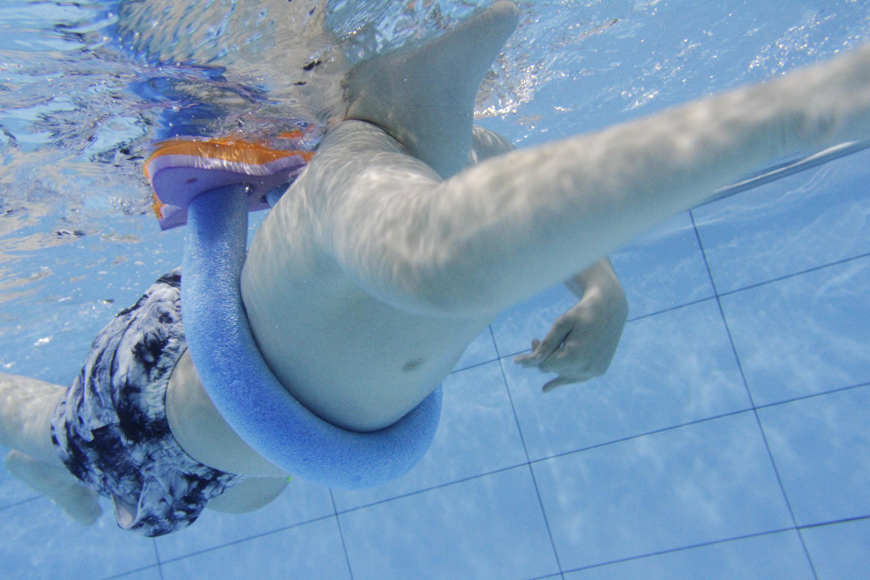 Clase de natacion del Programa de atención a personas con discapacidad