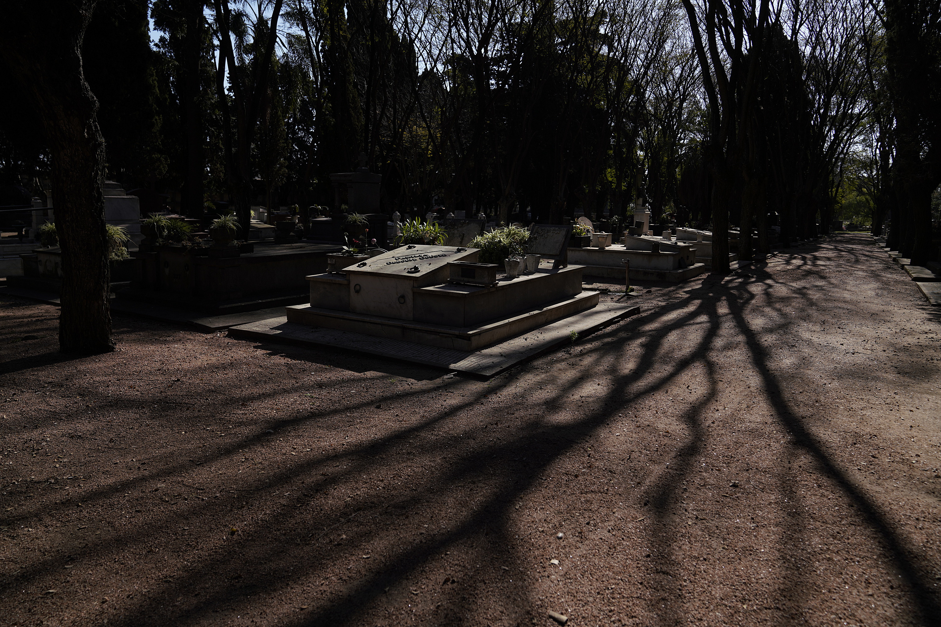 Cementerio Paso Molino