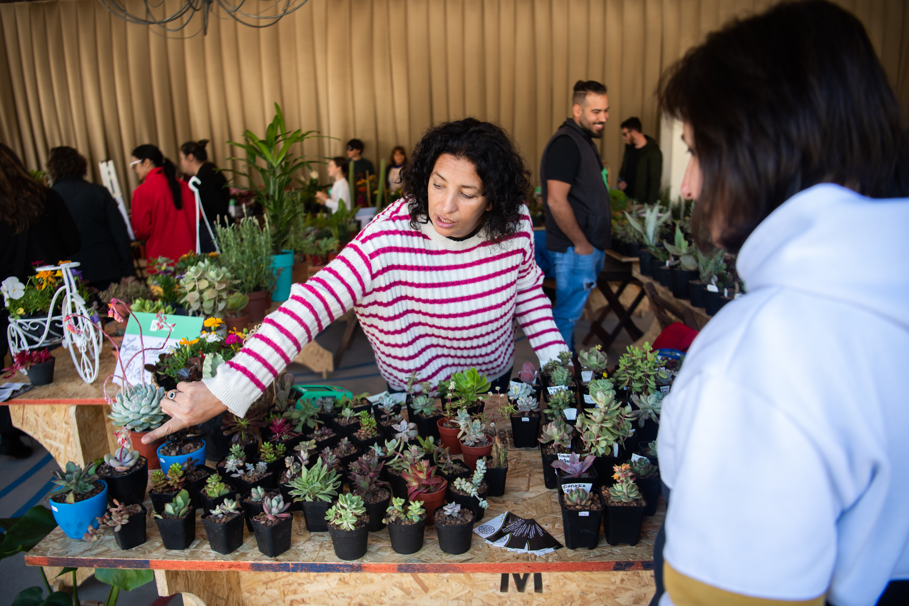 Recorrida por feria sustentable “Montevideo más Verde” en el parque Villa Dolores,  23 de setiembre de 2022