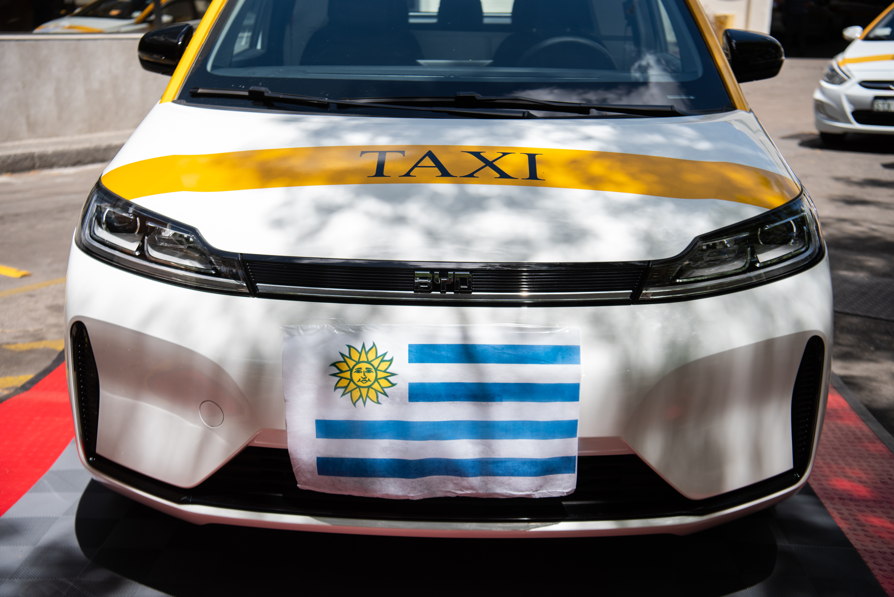 Presentación de sticker para identificación de taxis pet friendly,  11 de noviembre de 2022