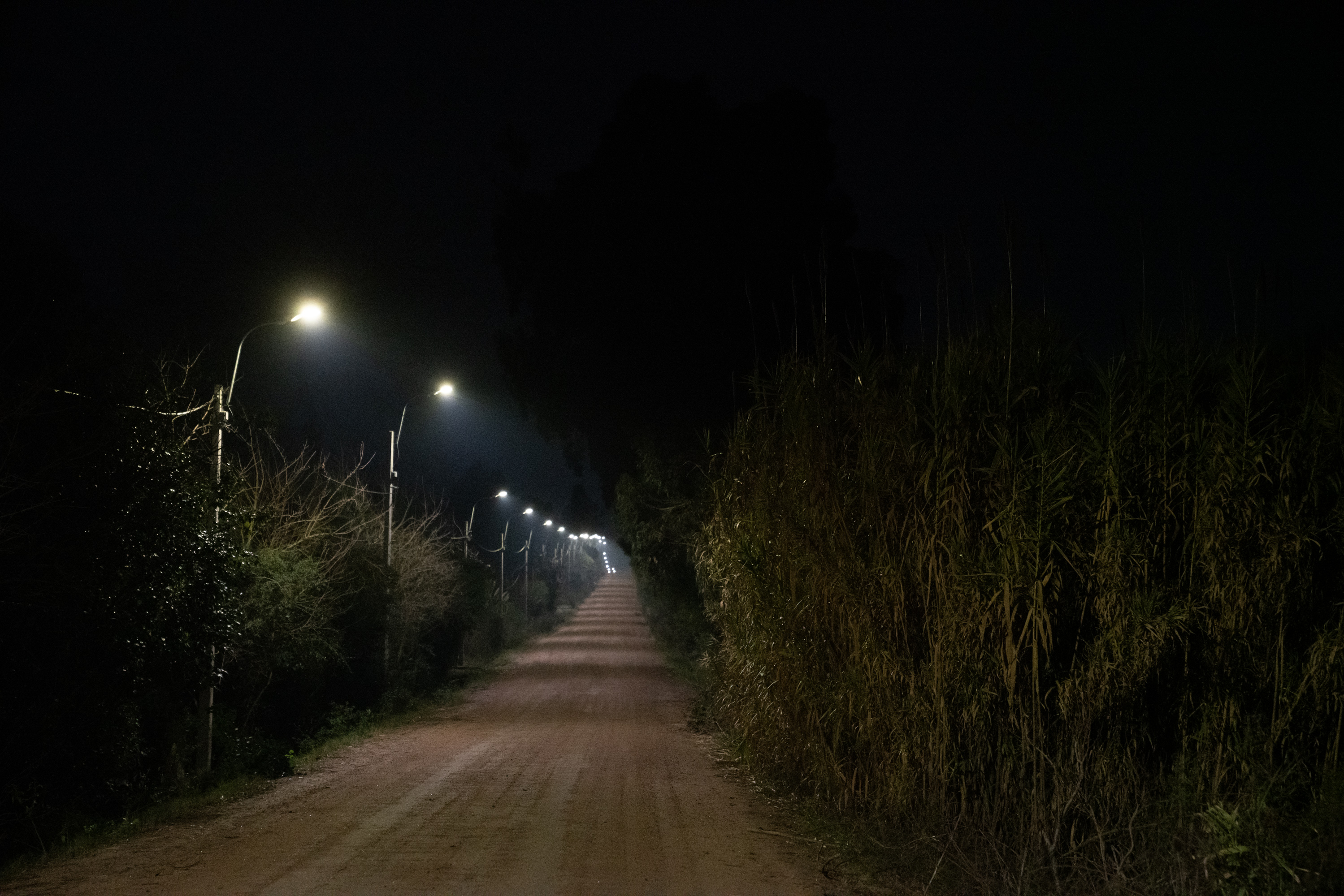 Encendido de luces en Santos Dumont