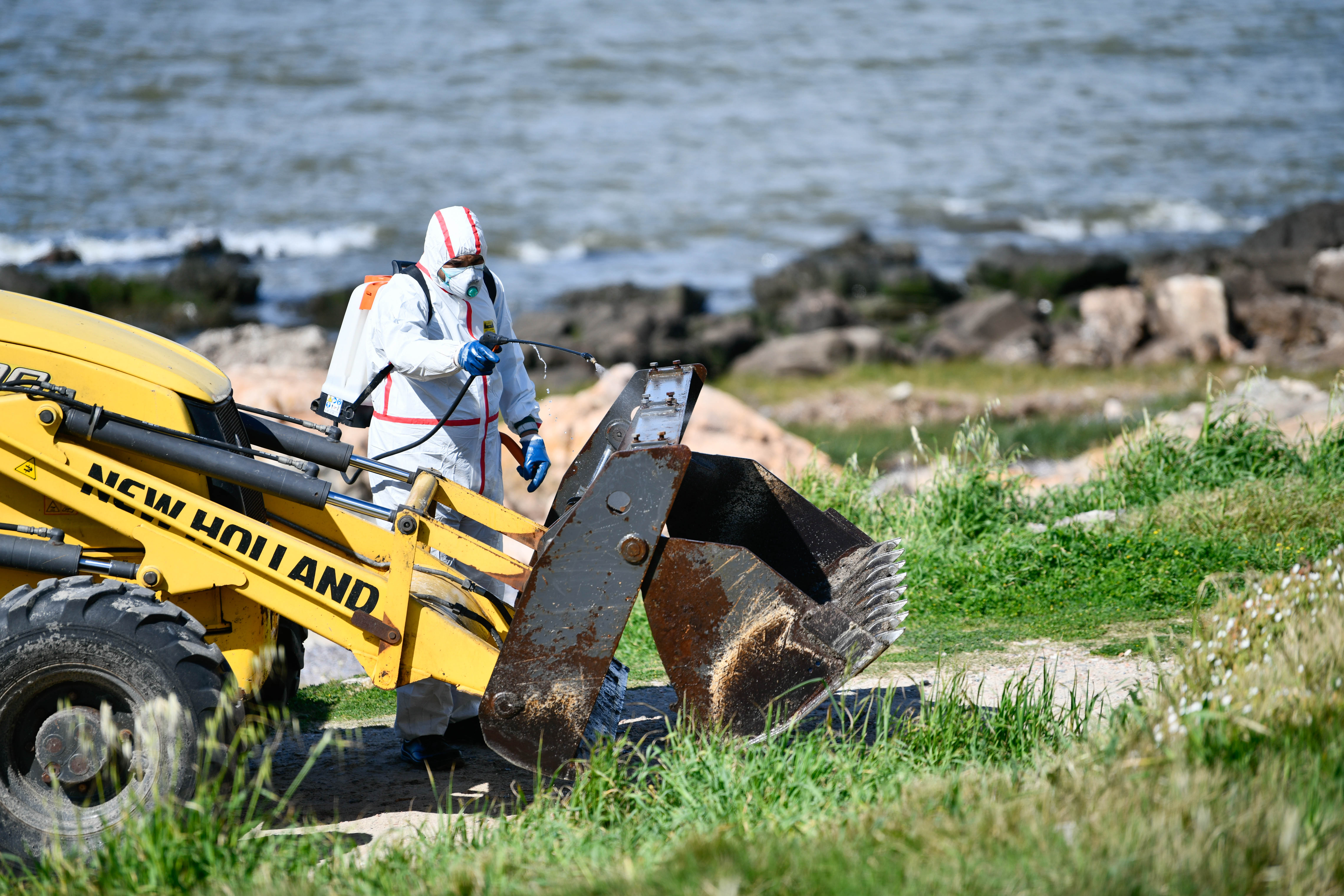 Operativo de CECOED en playa Verde por prevención de gripe aviar