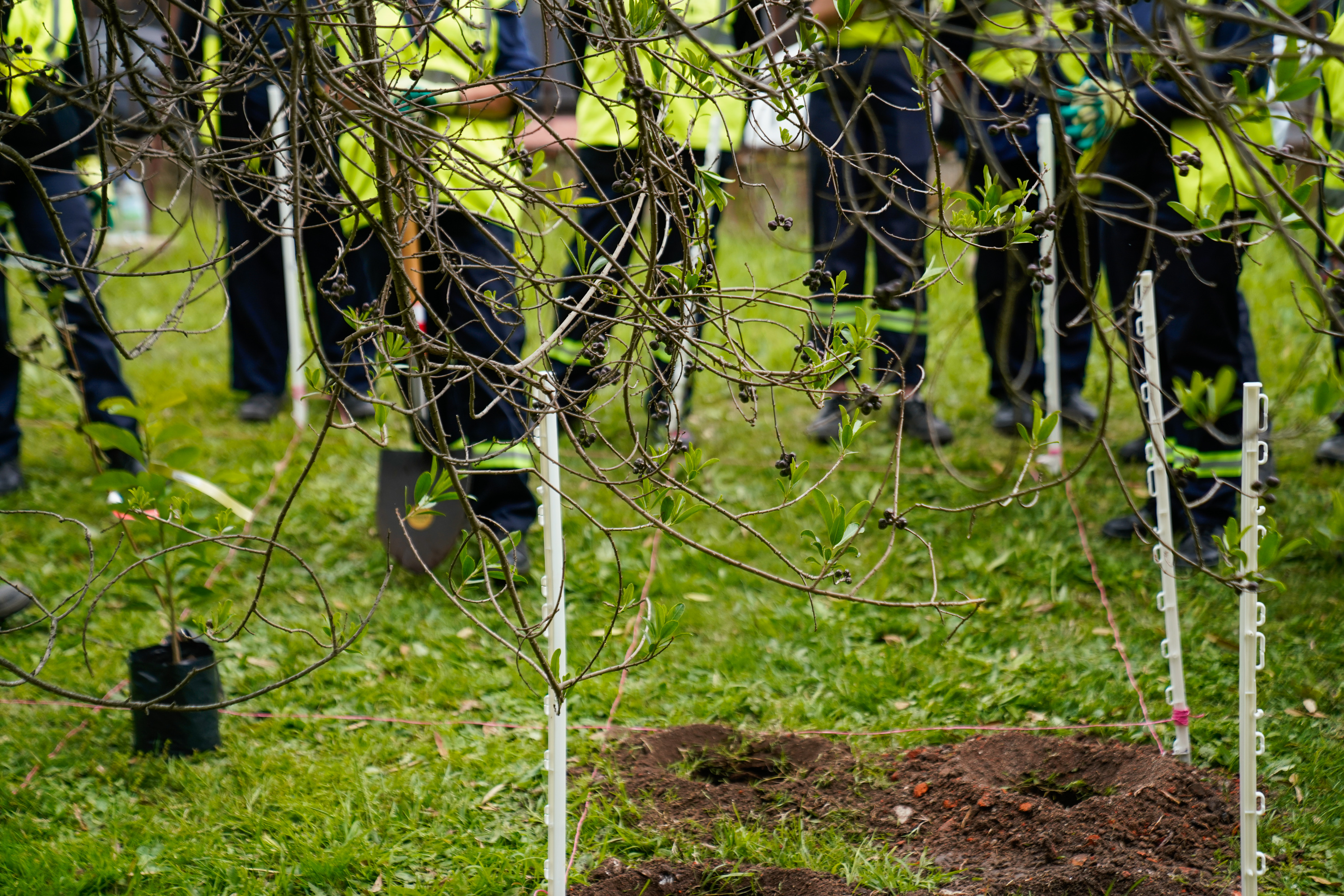 Plantación de bosques urbanos en el Jardín Botánico , 19 de Octubre 2023