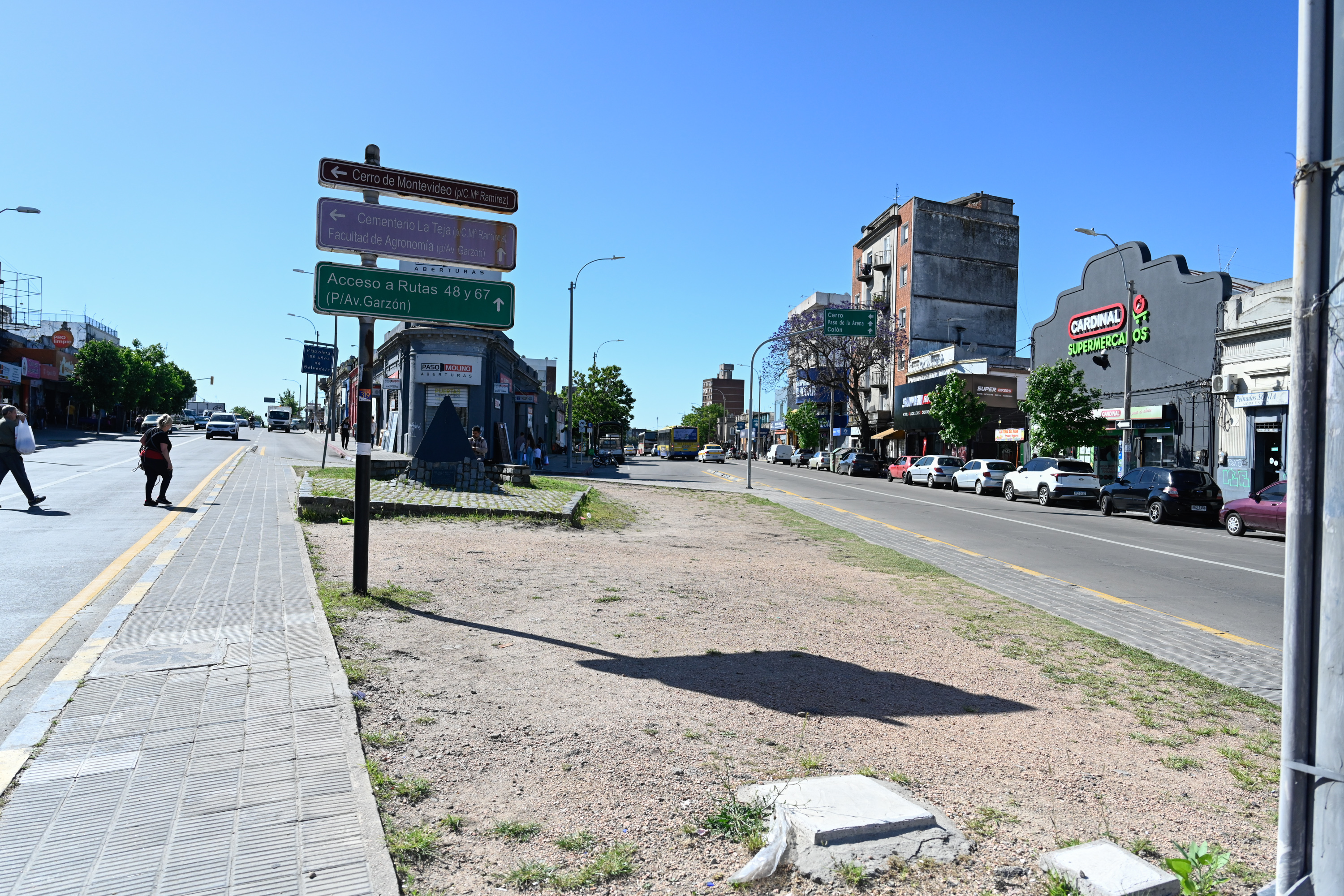 Renaturalización en Av. Agraciada y Freire