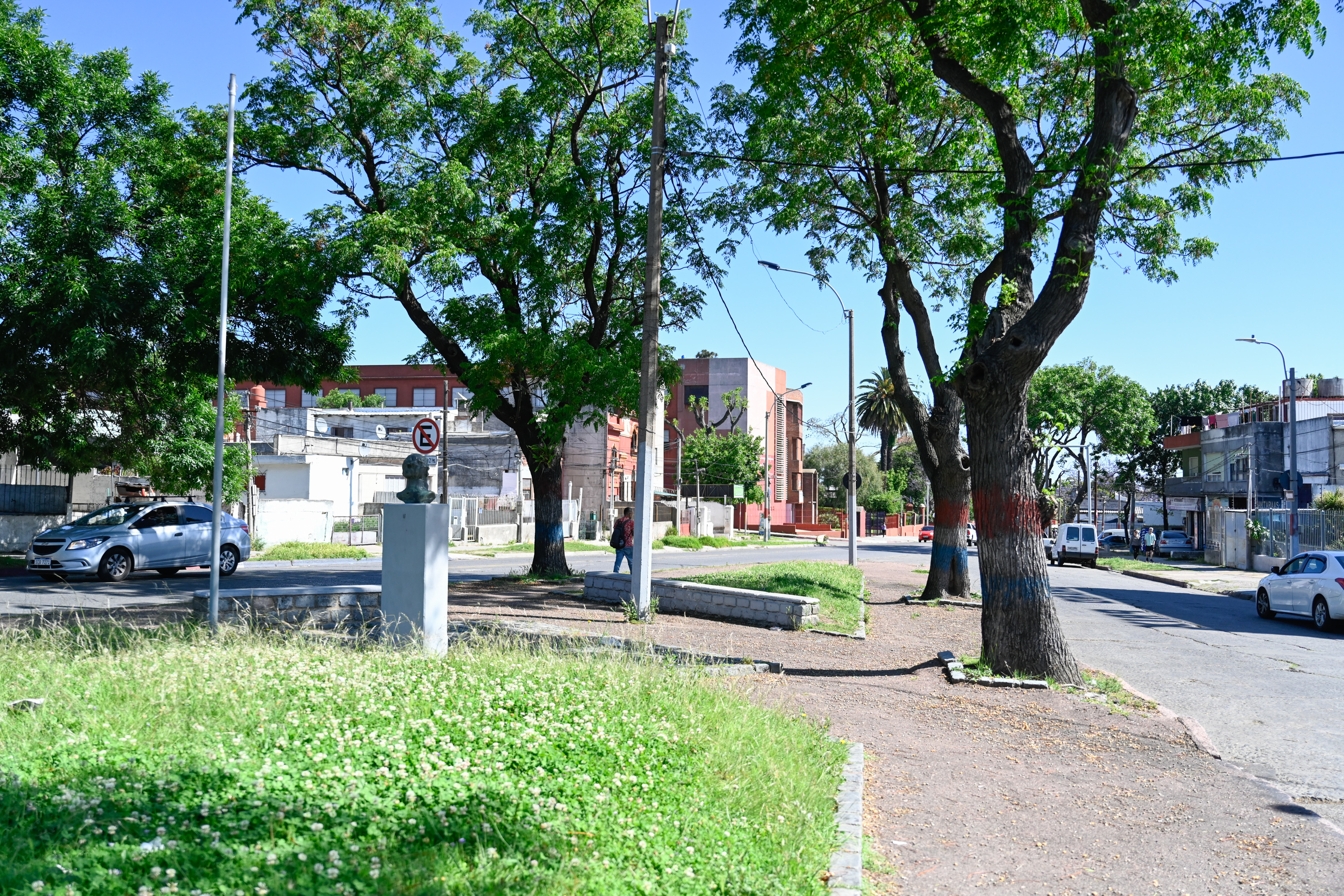 Renaturalización en Av. San Martin y Granaderos