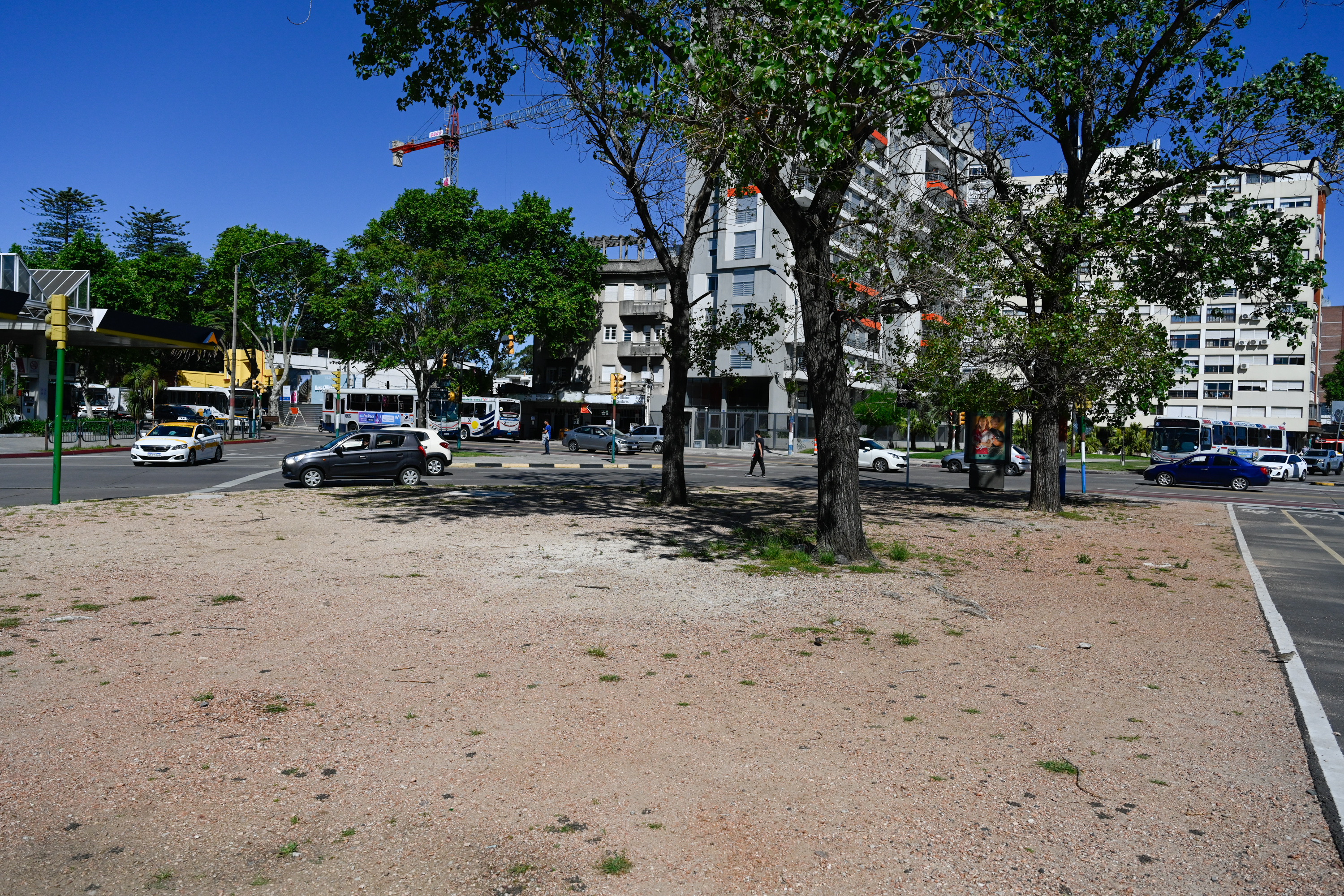 Renaturalización en Av. 8 de Octubre y Luis Alberto de Herrera