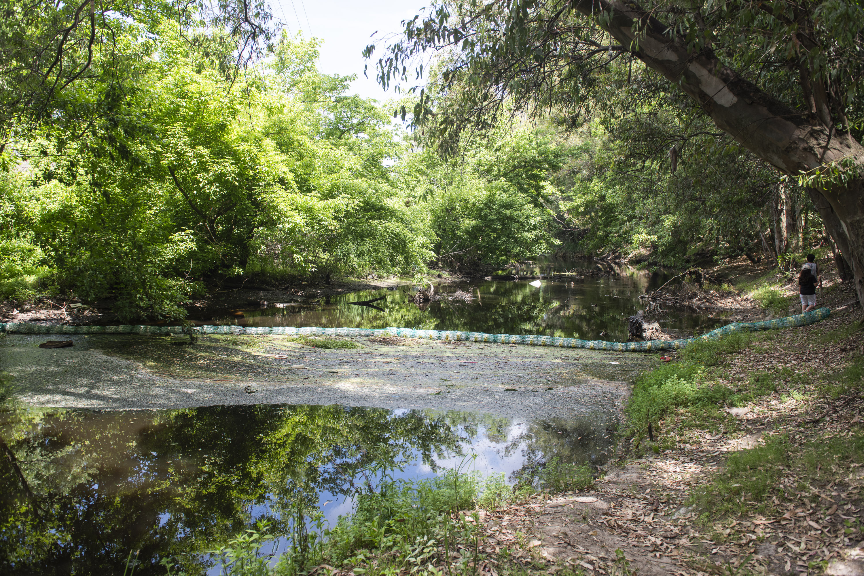 Biobardas en la cuenca del arroyo Pantanoso