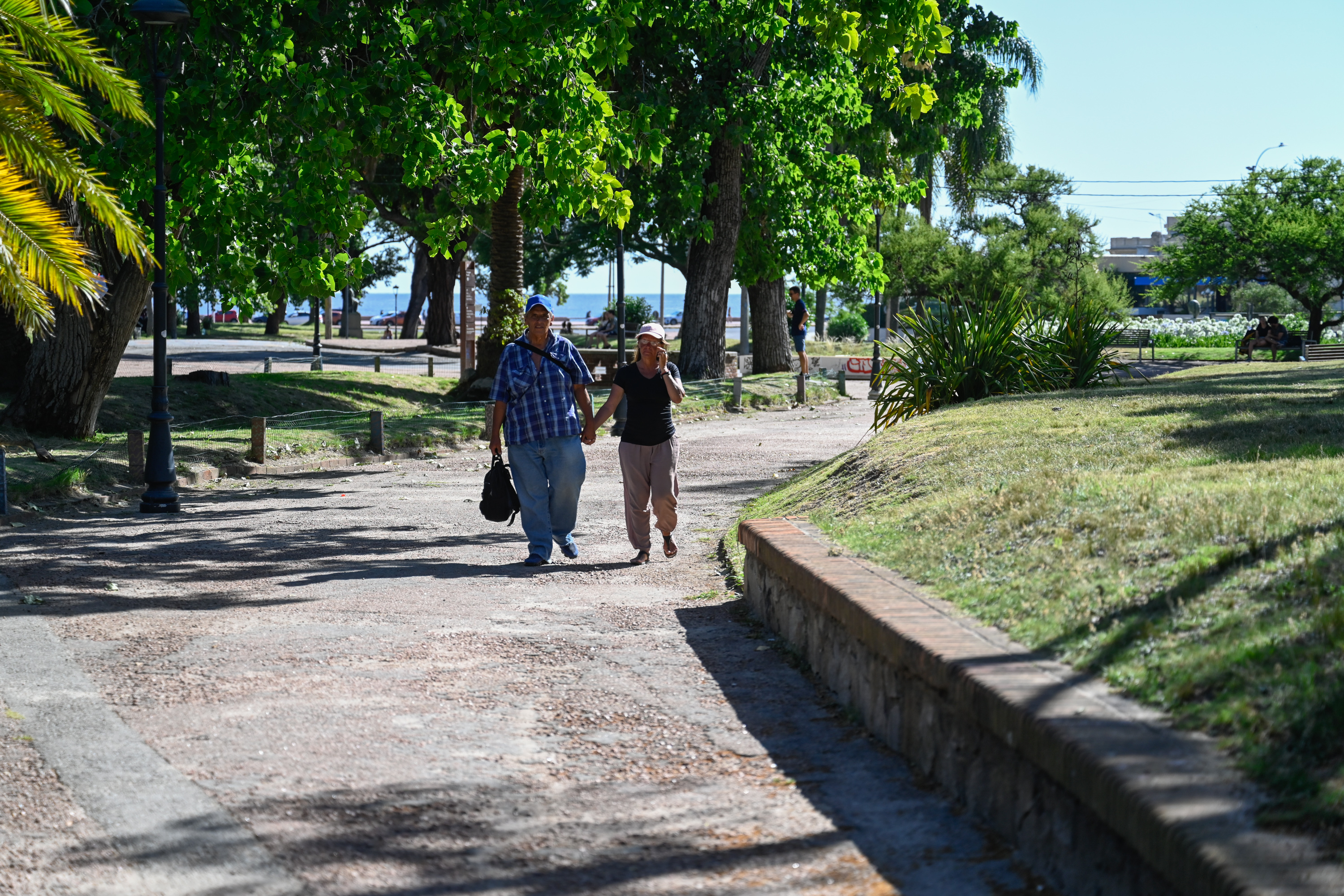 Parqué Rodó, Montevideo 15 de enero de 2024