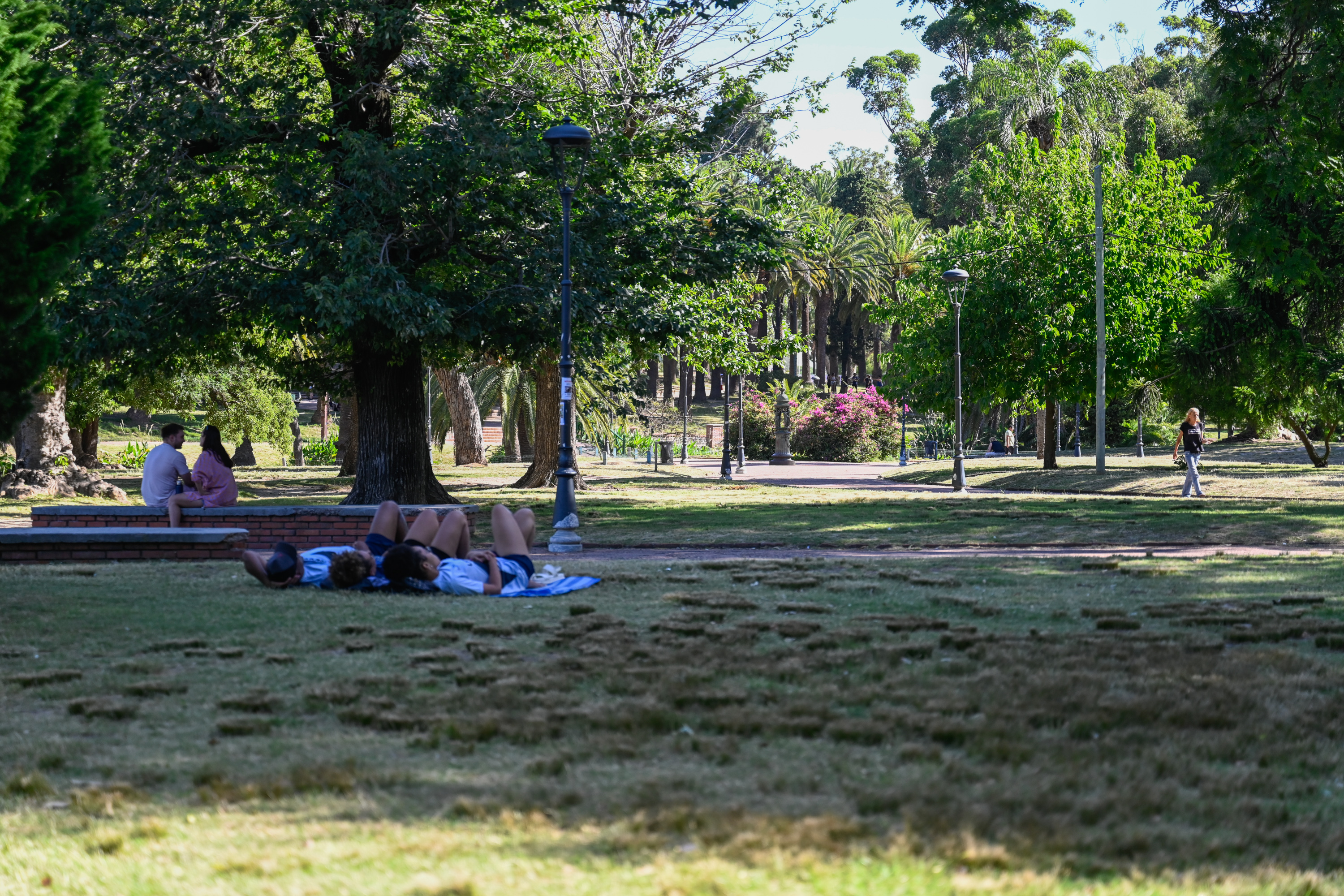 Parqué Rodó, Montevideo 15 de enero de 2024