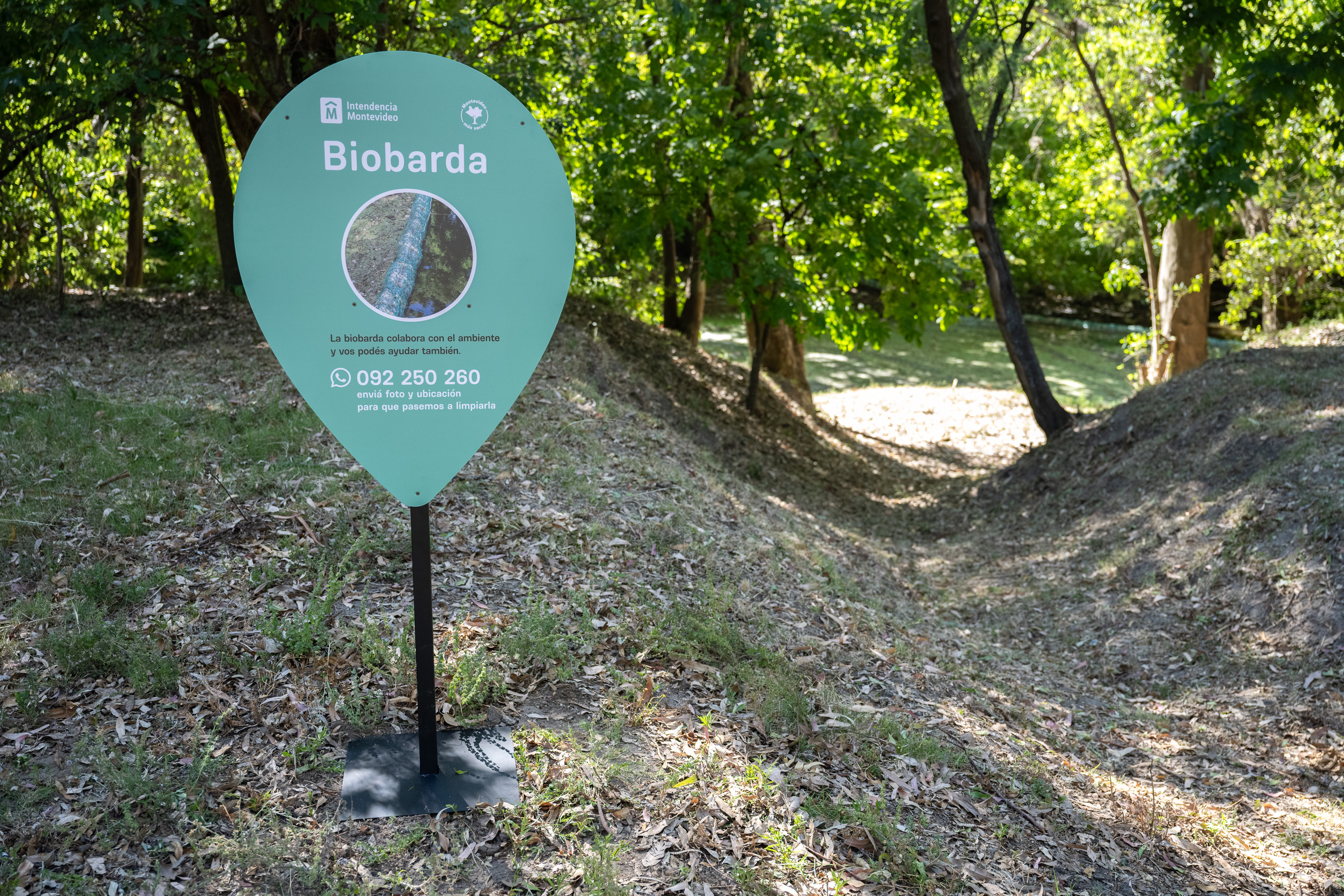 Instalación de cartel de biobarda en el Museo y Parque Fernando García