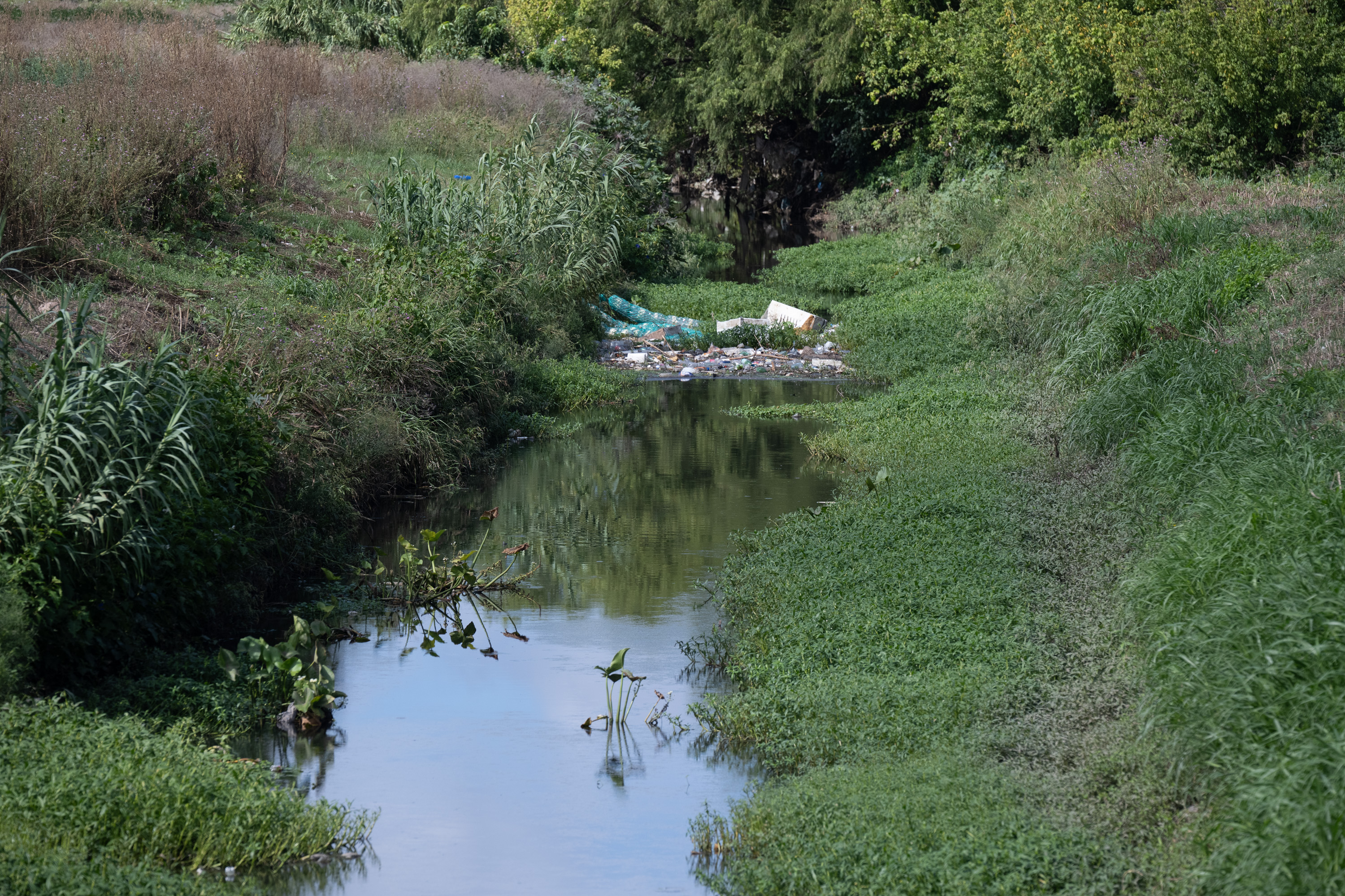 Colocación de cartel de biobardas en Arroyo Pantanoso y Luis Batlle Berres