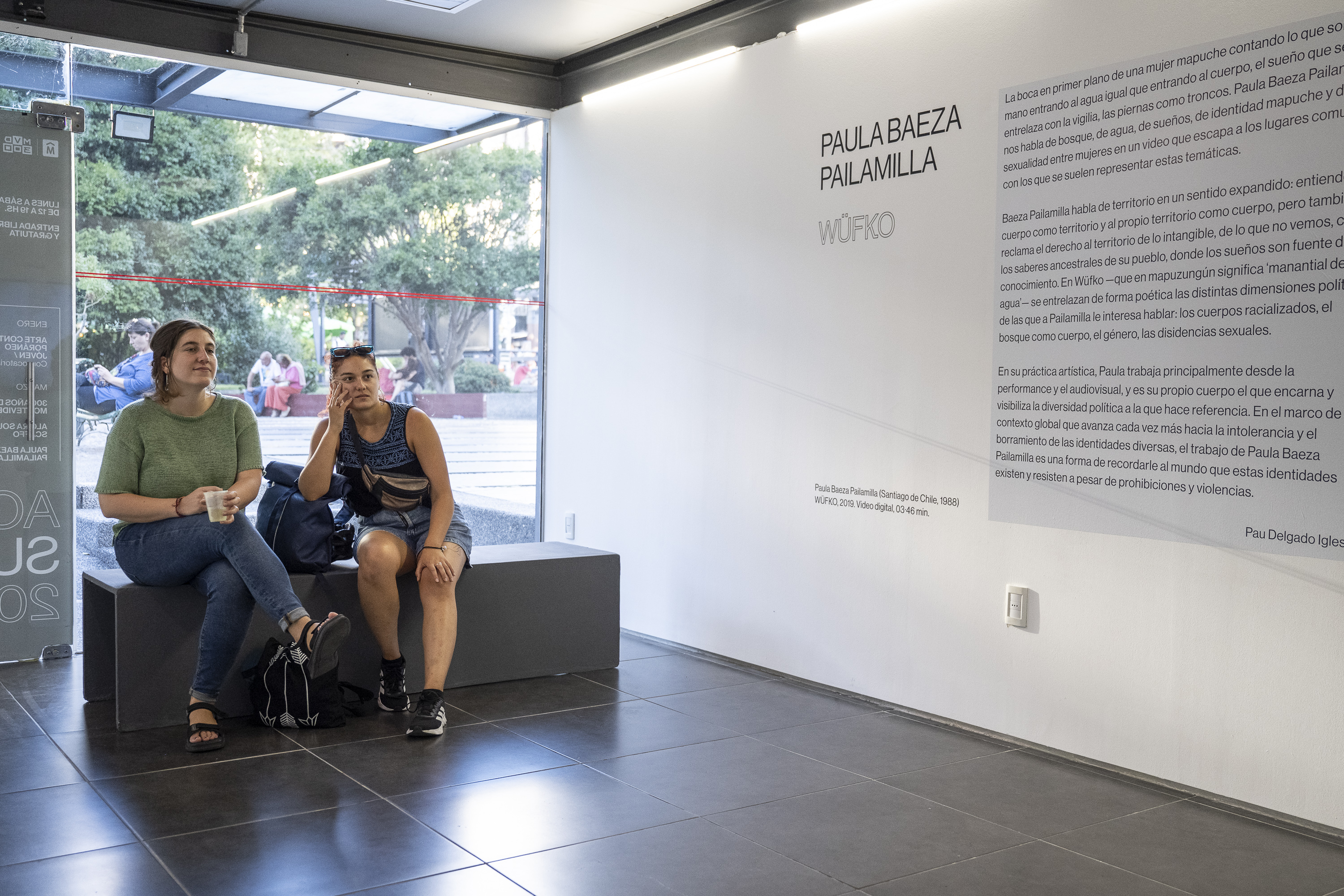 «Wüfko», de la artista chilena Paula Baeza Palomilla en espacio Fabini