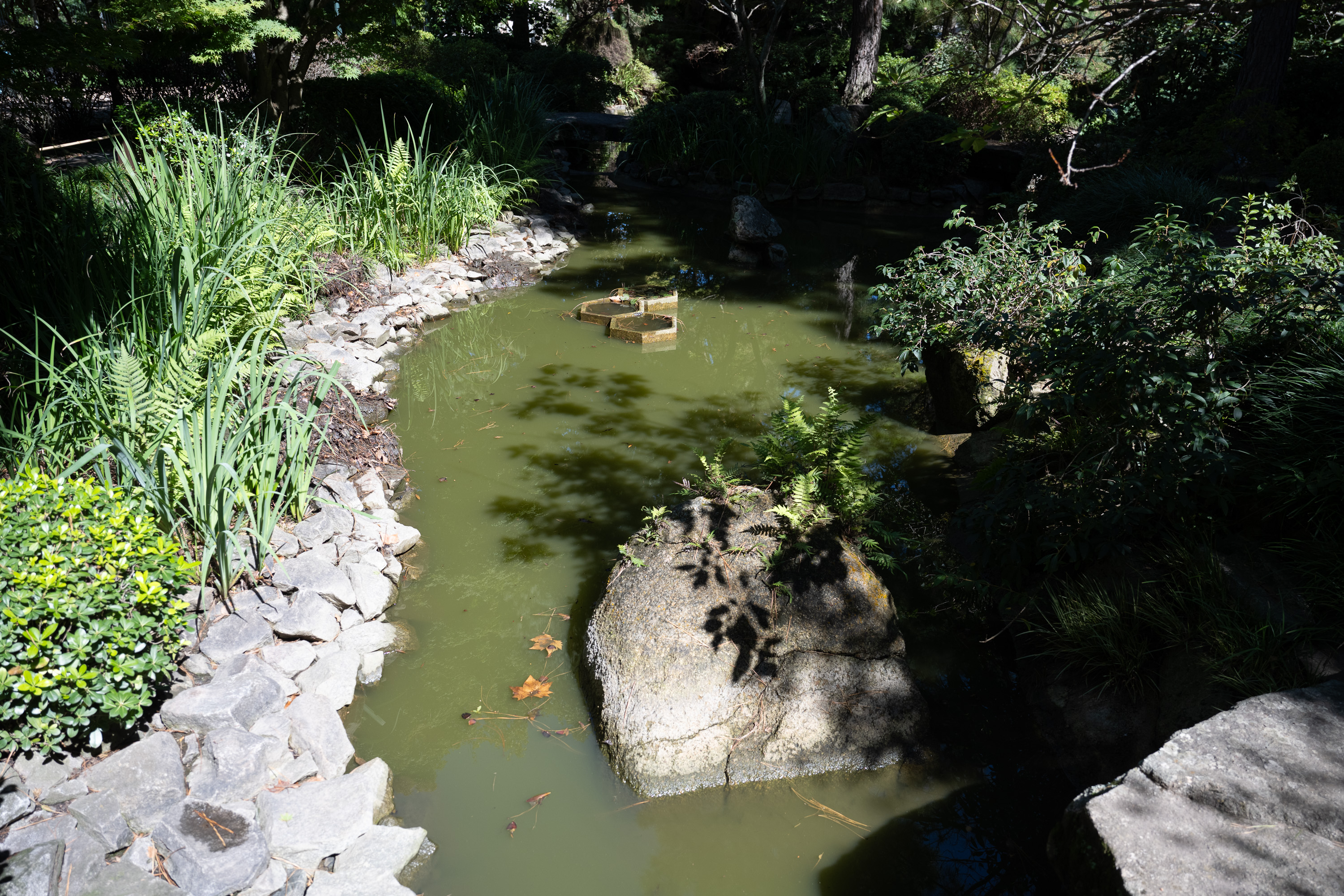Obras en el Jardín Japonés