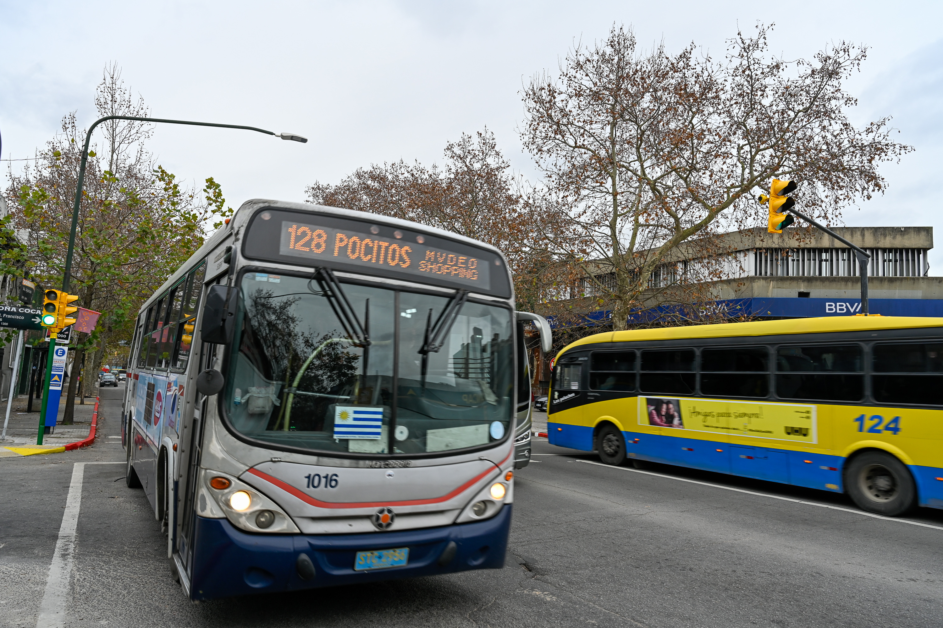 Nuevo semáforo en Avda. Agraciada esquina Coronel Francisco Tajes