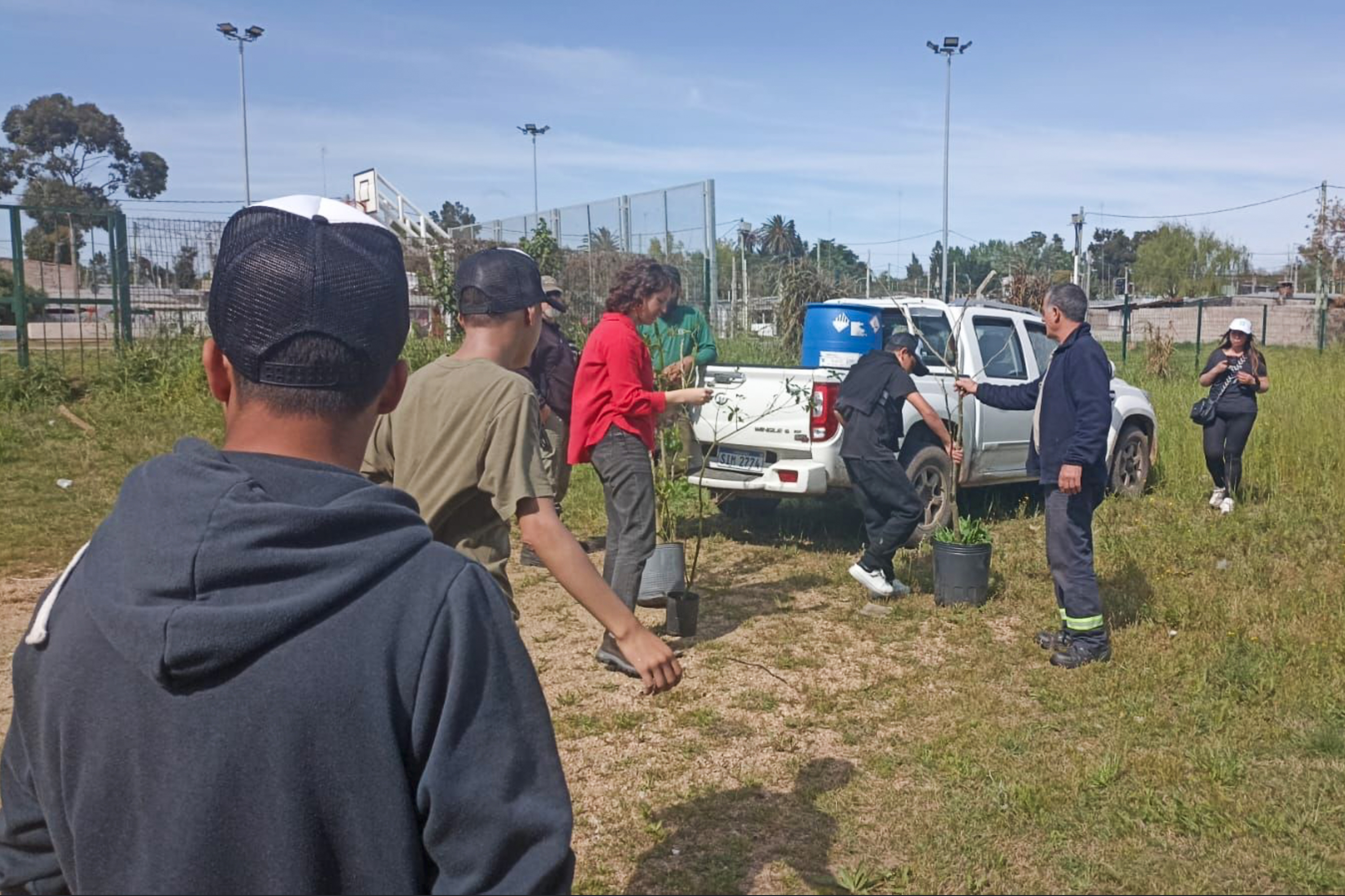 Jornada de plantación