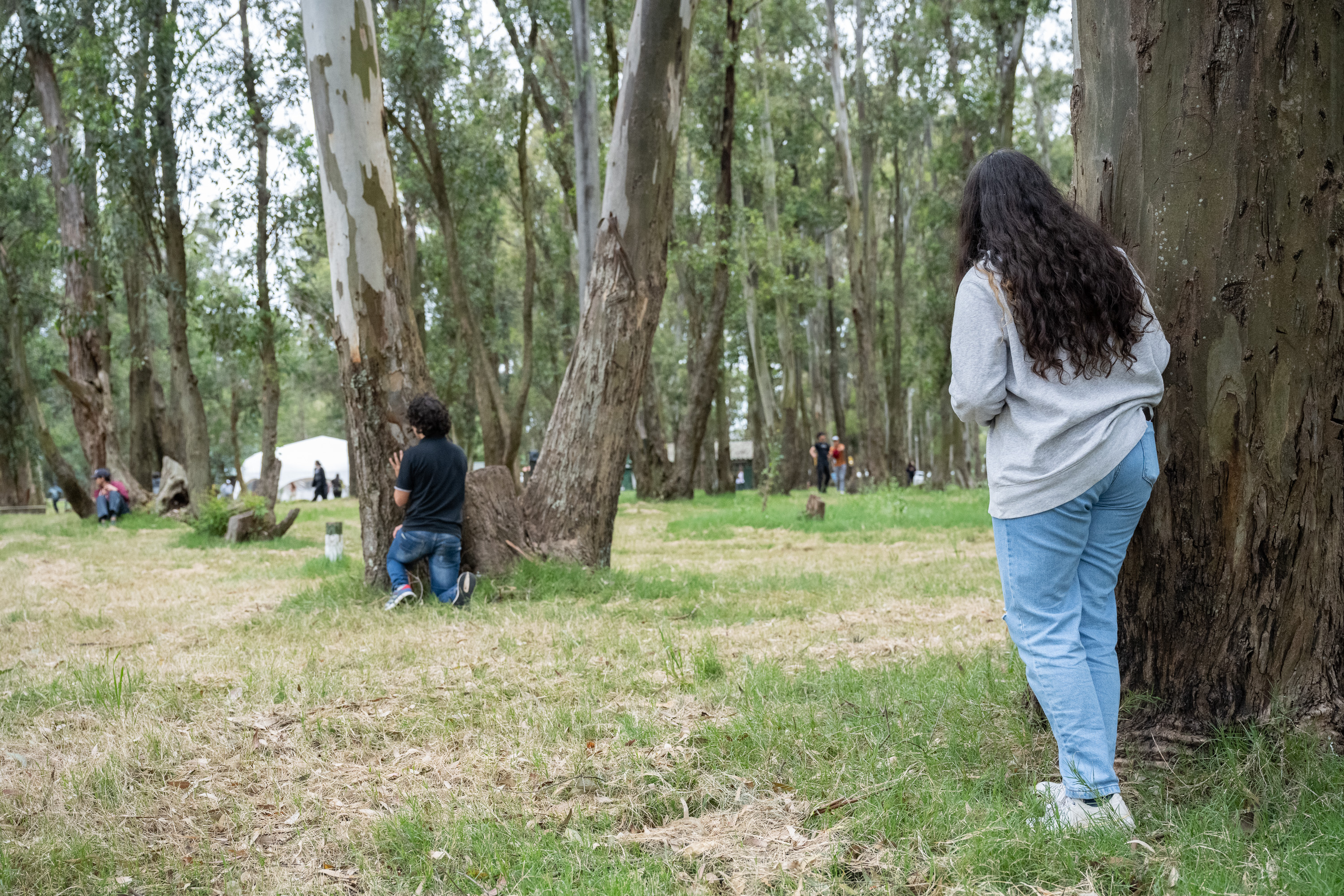 Campamento Adolescentes con Voz/s 2024