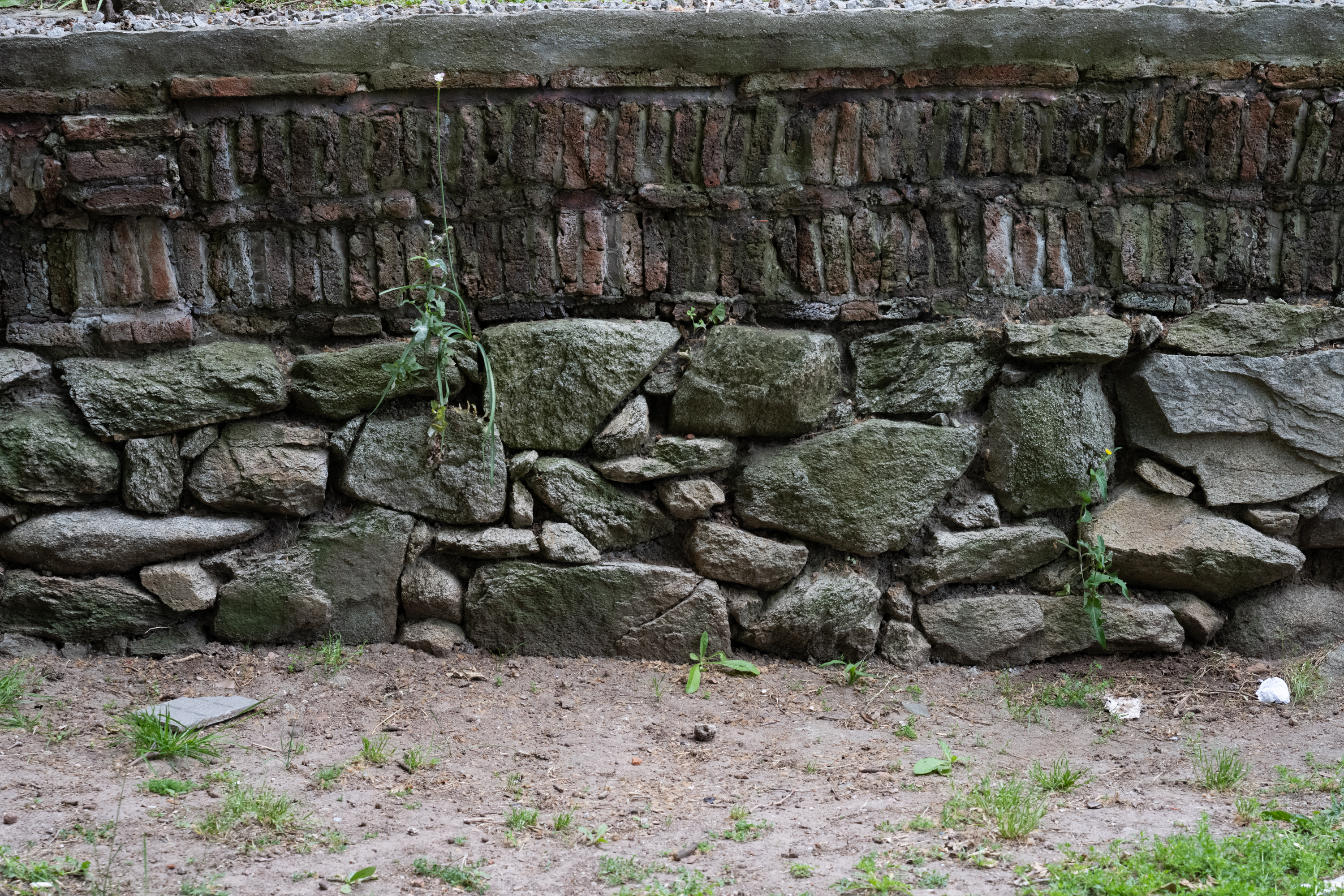 Hallazgo de restos arqueológicos en el Caserío de los Negros,  23 de Octubre de 2024