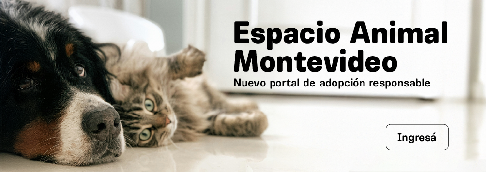 Espacio Animal Montevideo. Nuevo portal de adopcion responsable