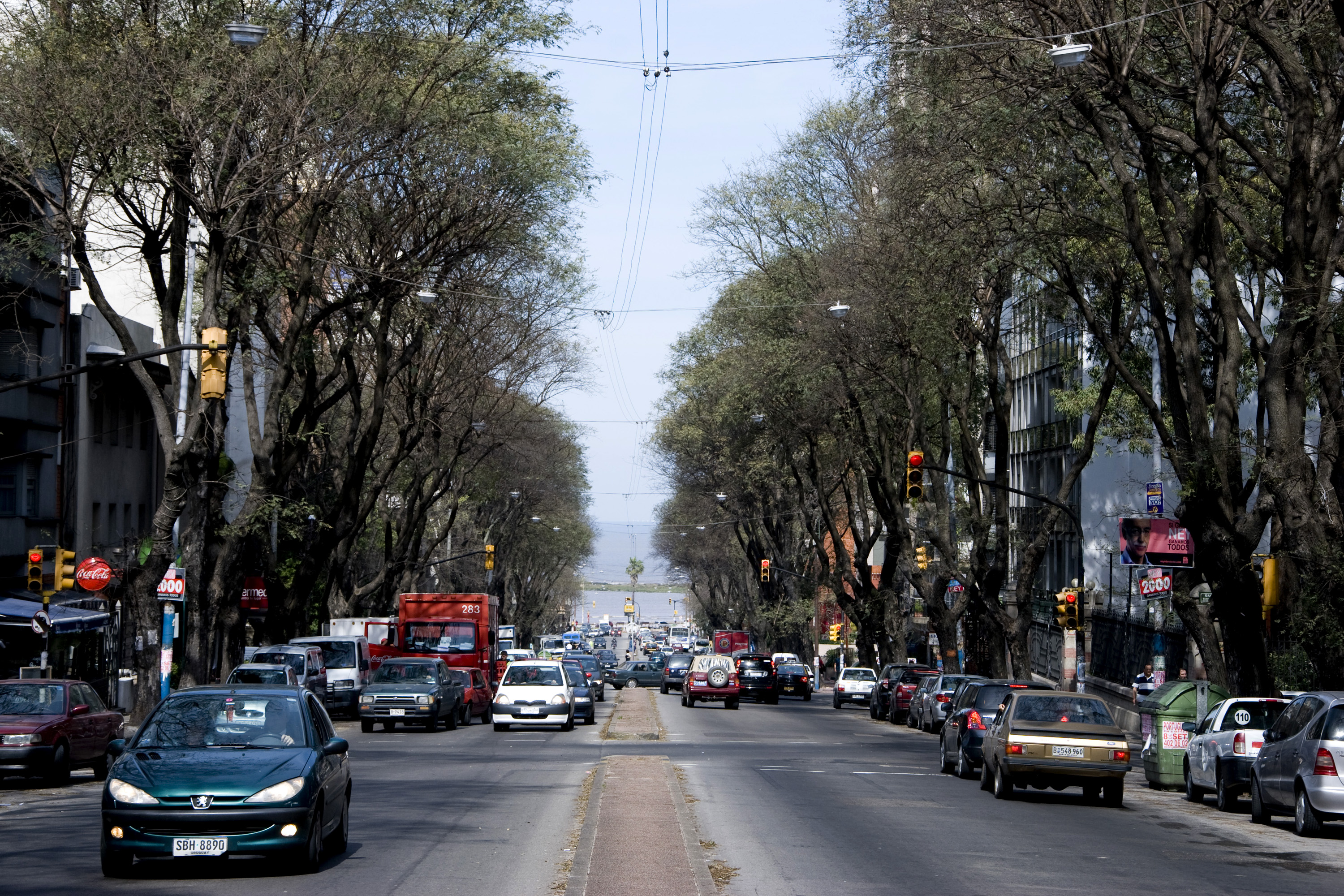 Avenida Brasil