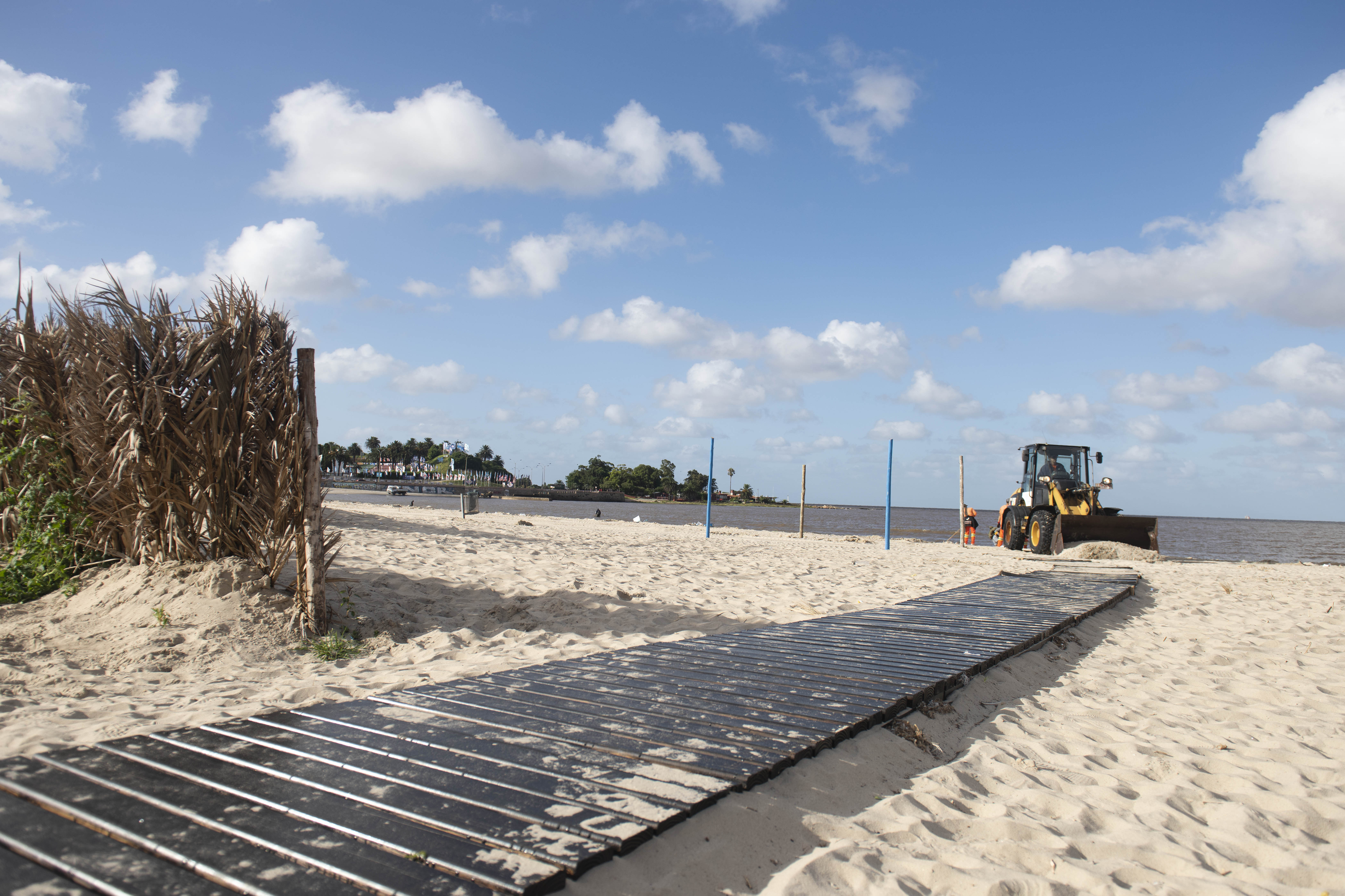 Conservación de Dunas