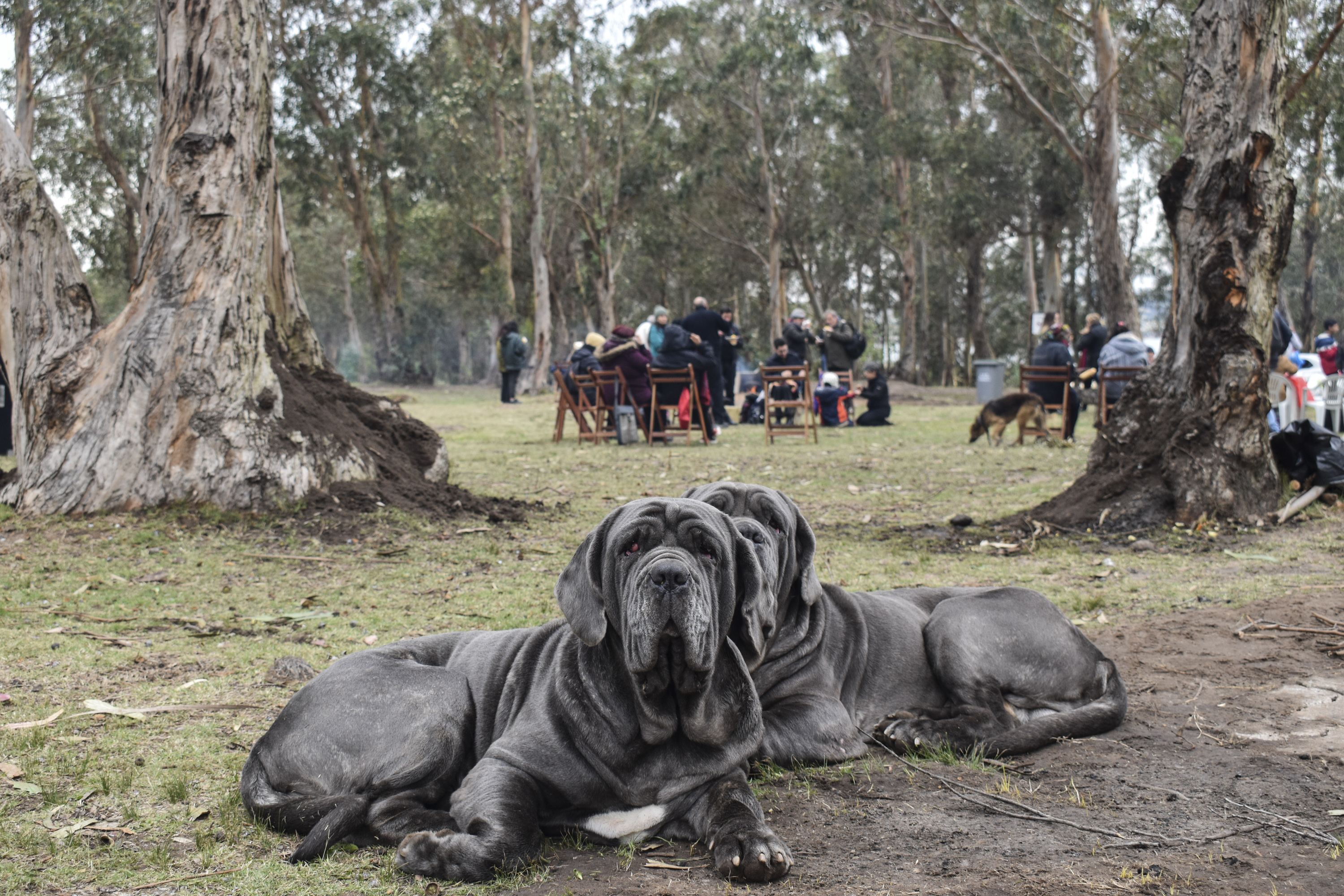 Celebración del 16ª aniversario del parque público Punta Yeguas