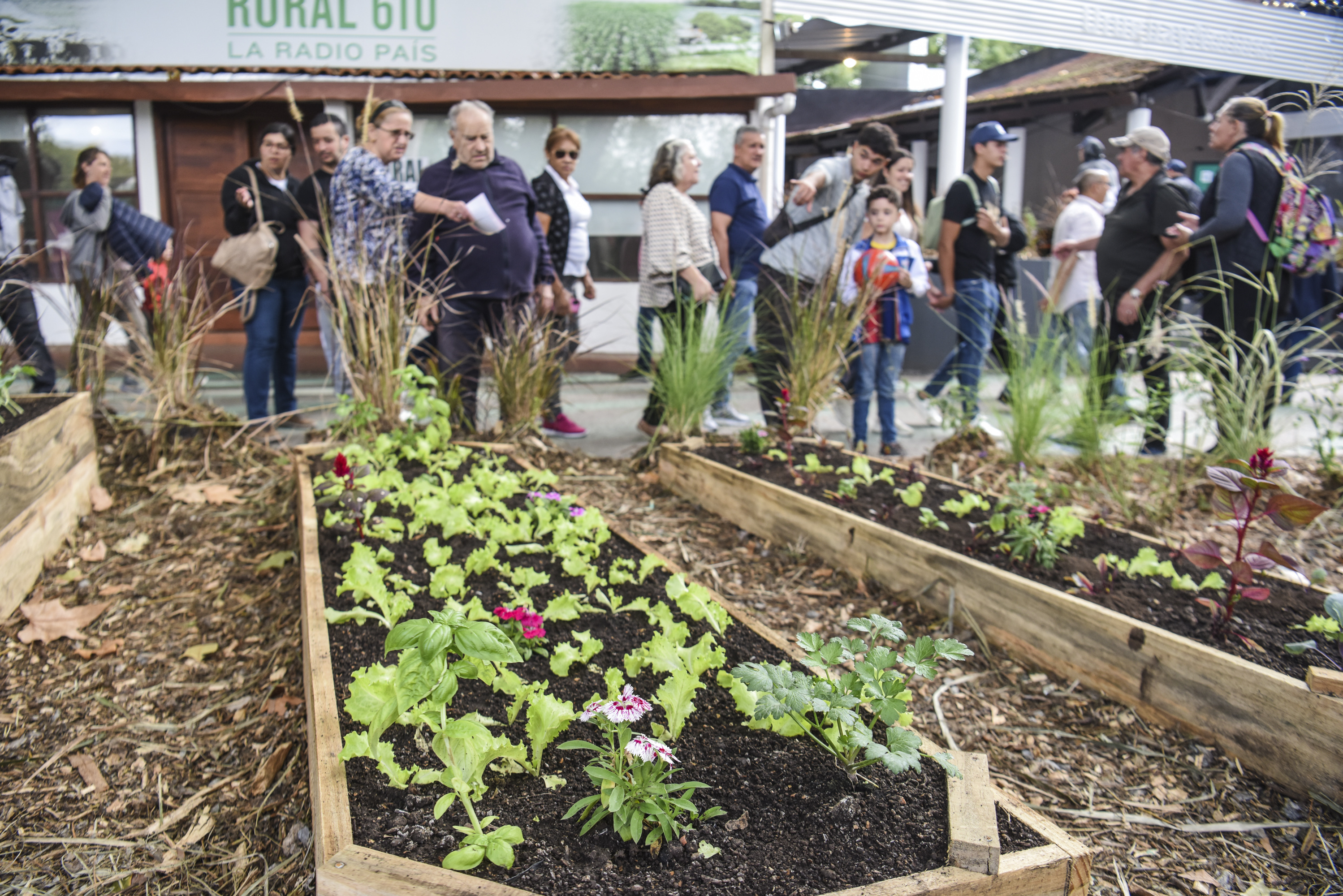 Programa agricultura urbana en Semana Criolla del Prado 2023