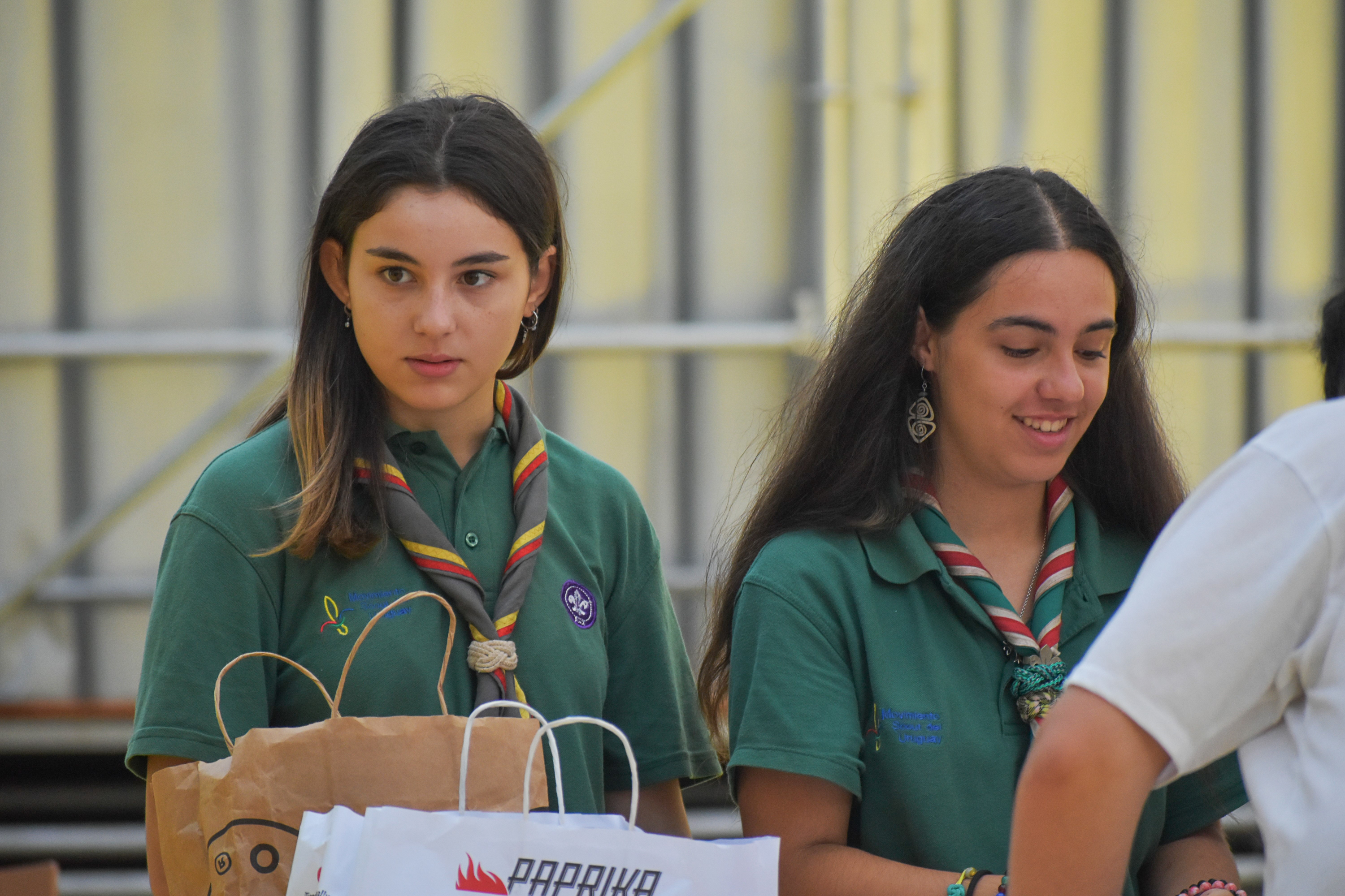 Clasificación de donaciones de campaña Tu ayuda es útil en el Espacio Modelo