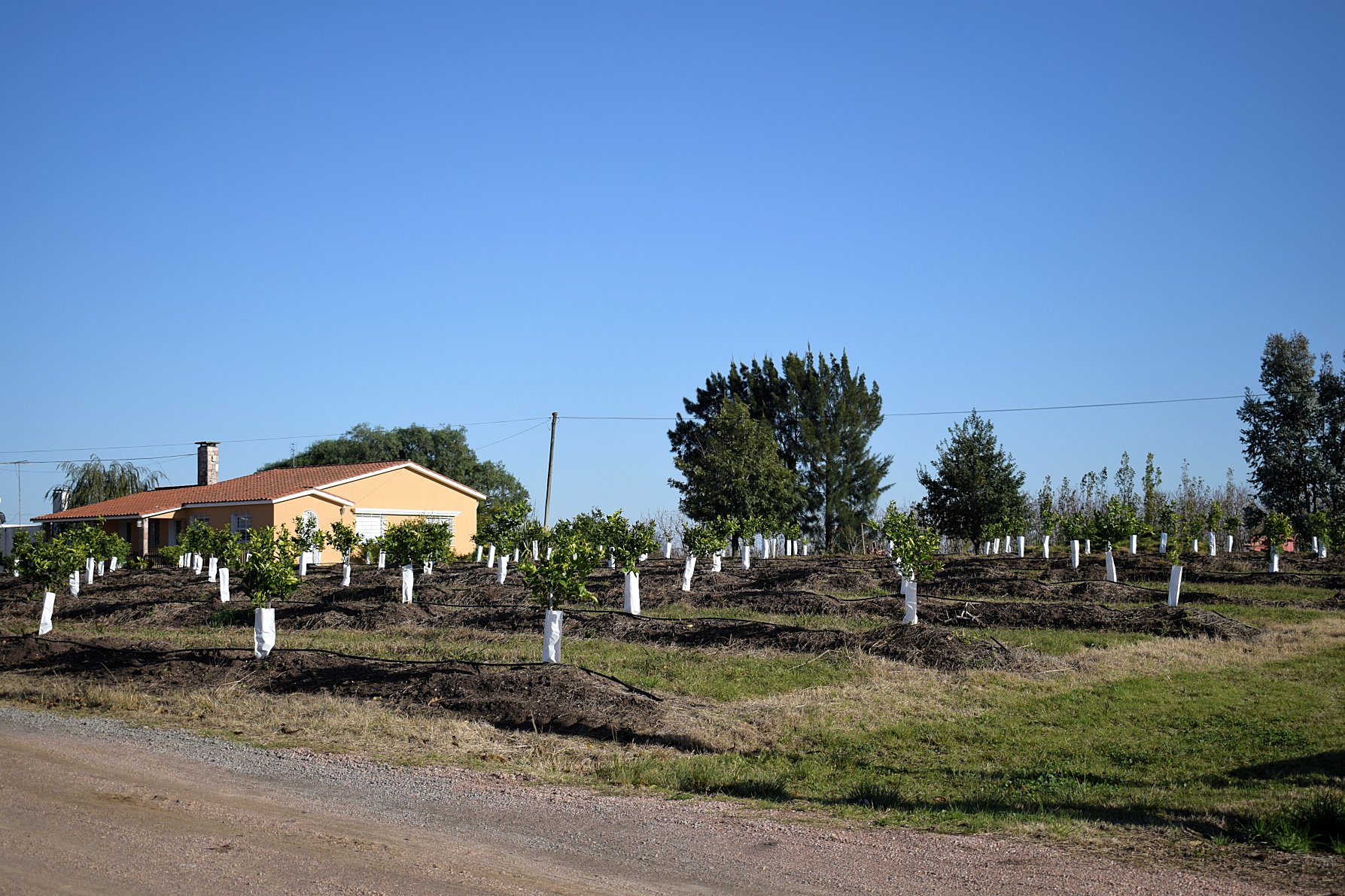 Montevideo Rural