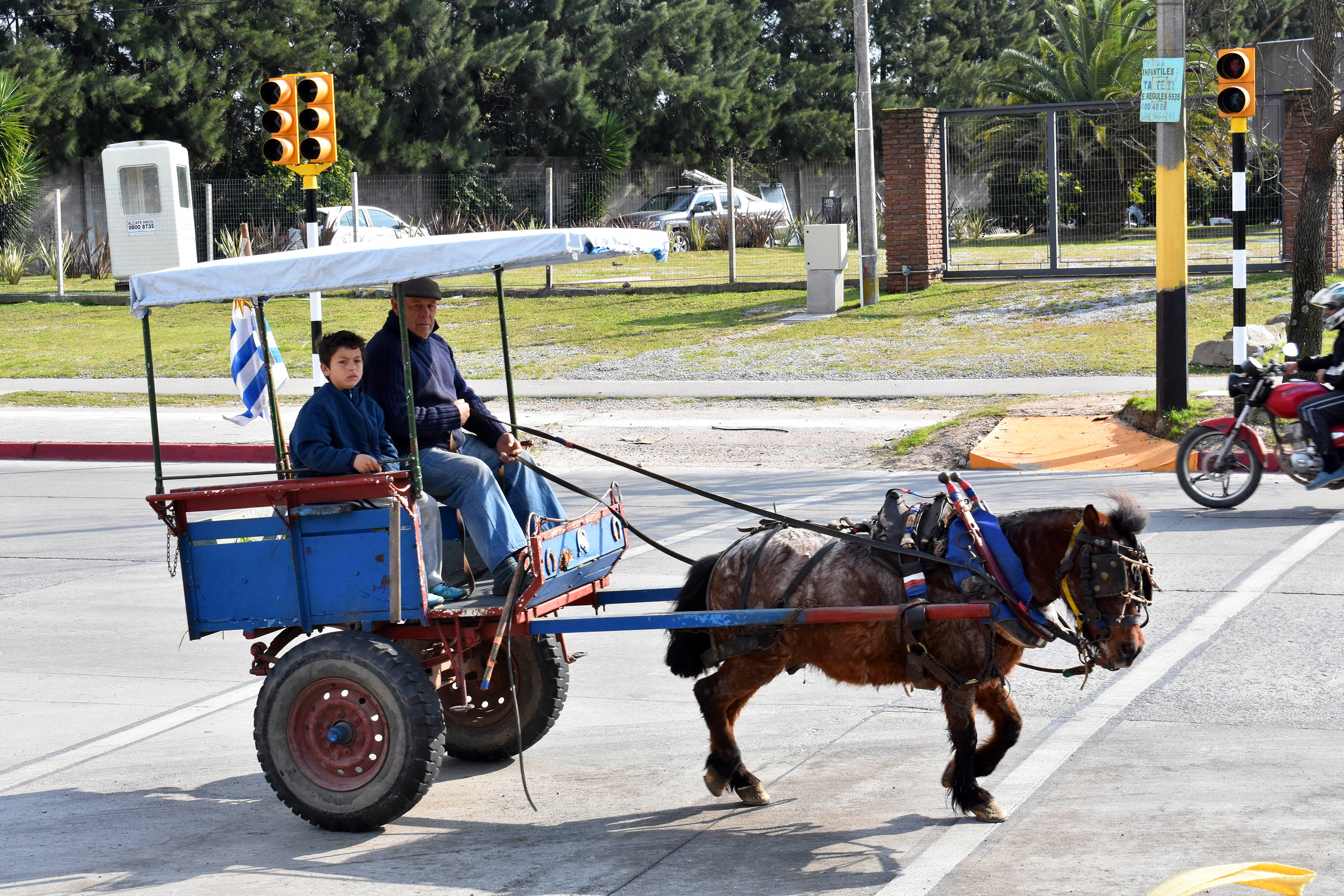 Semáforos en camino Carrasco y Cooper