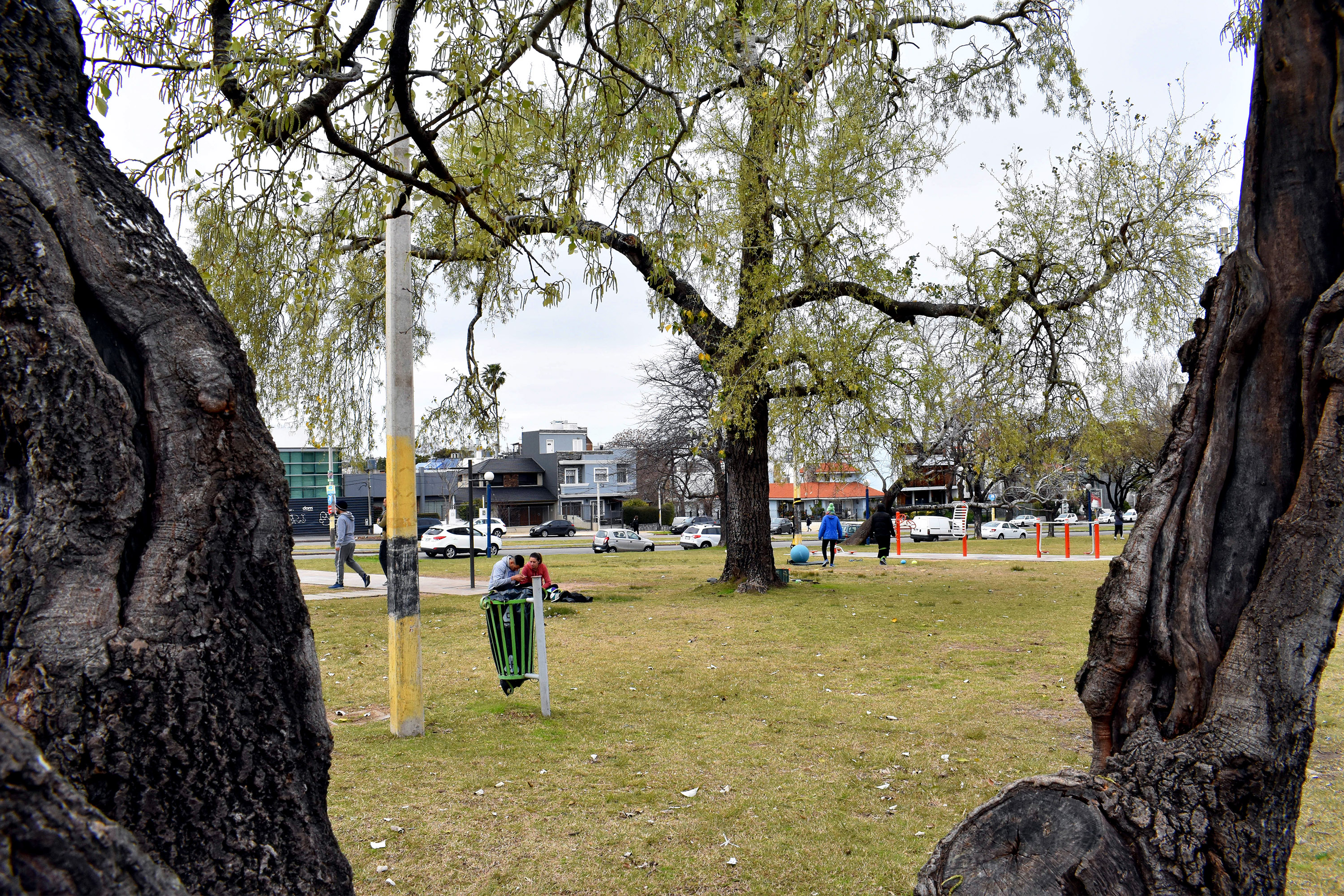 Espacio para Ejercitación Benzano y Ricaldoni