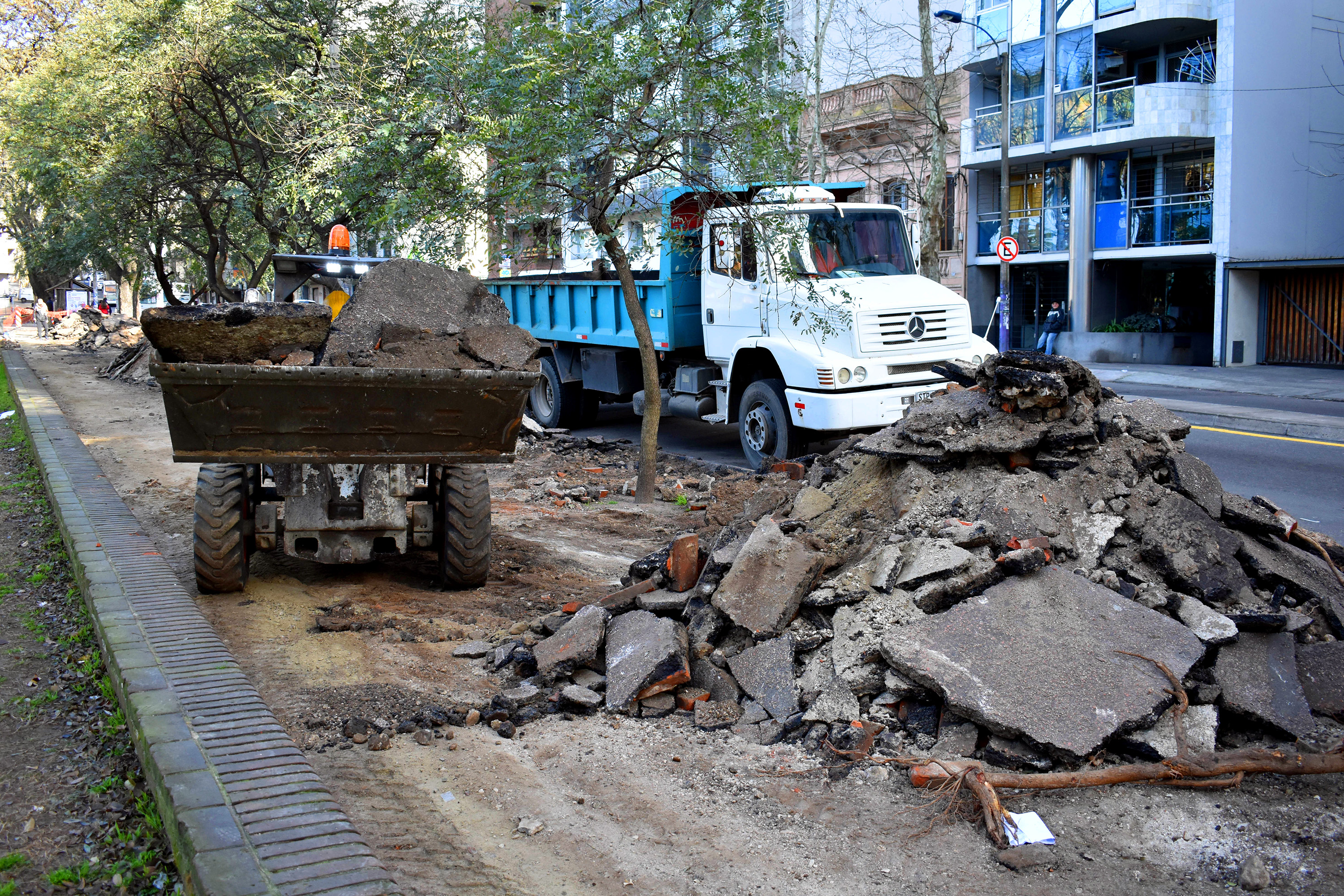  Reparación parcial de caminería en Parque Rodó