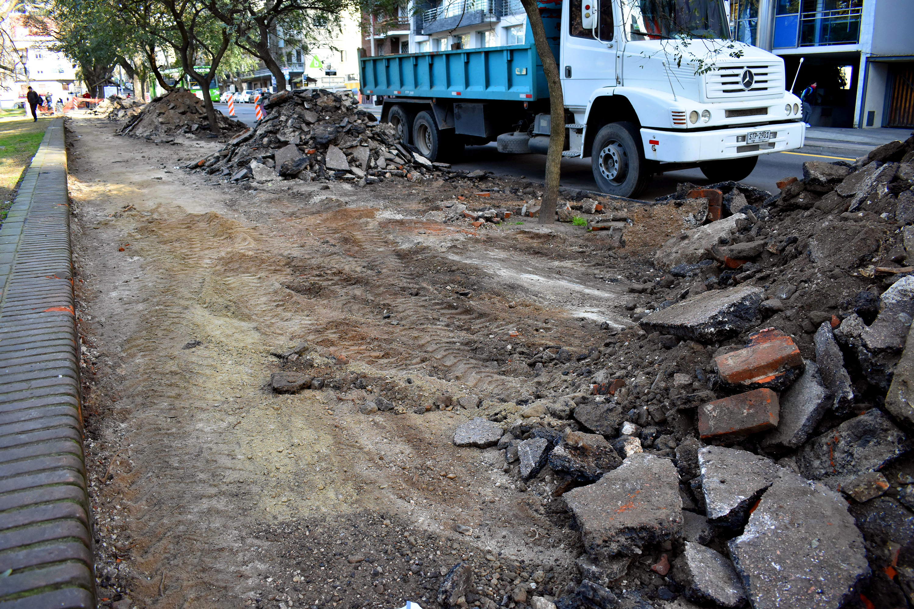  Reparación parcial de caminería en Parque Rodó