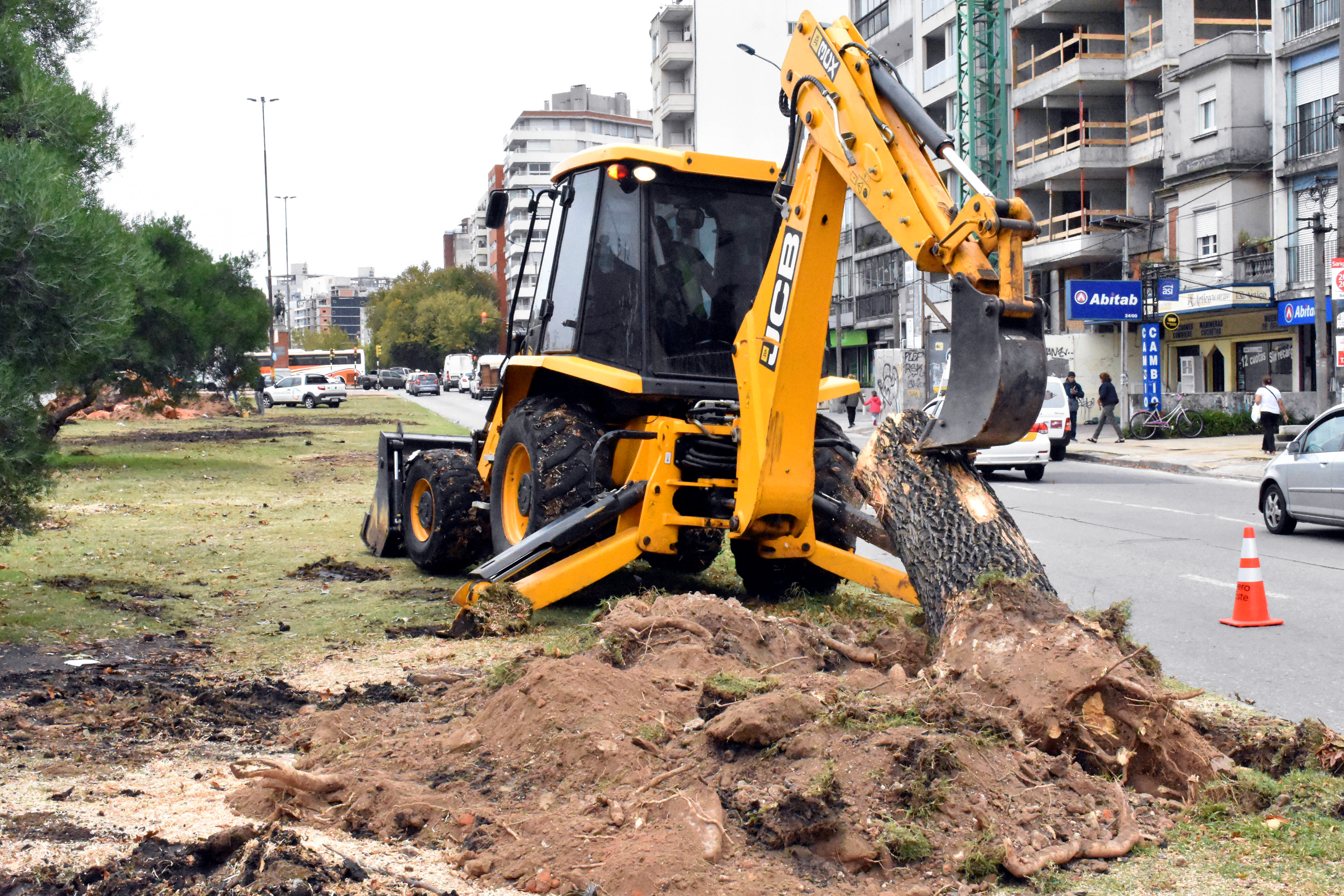 Extracción arbolado