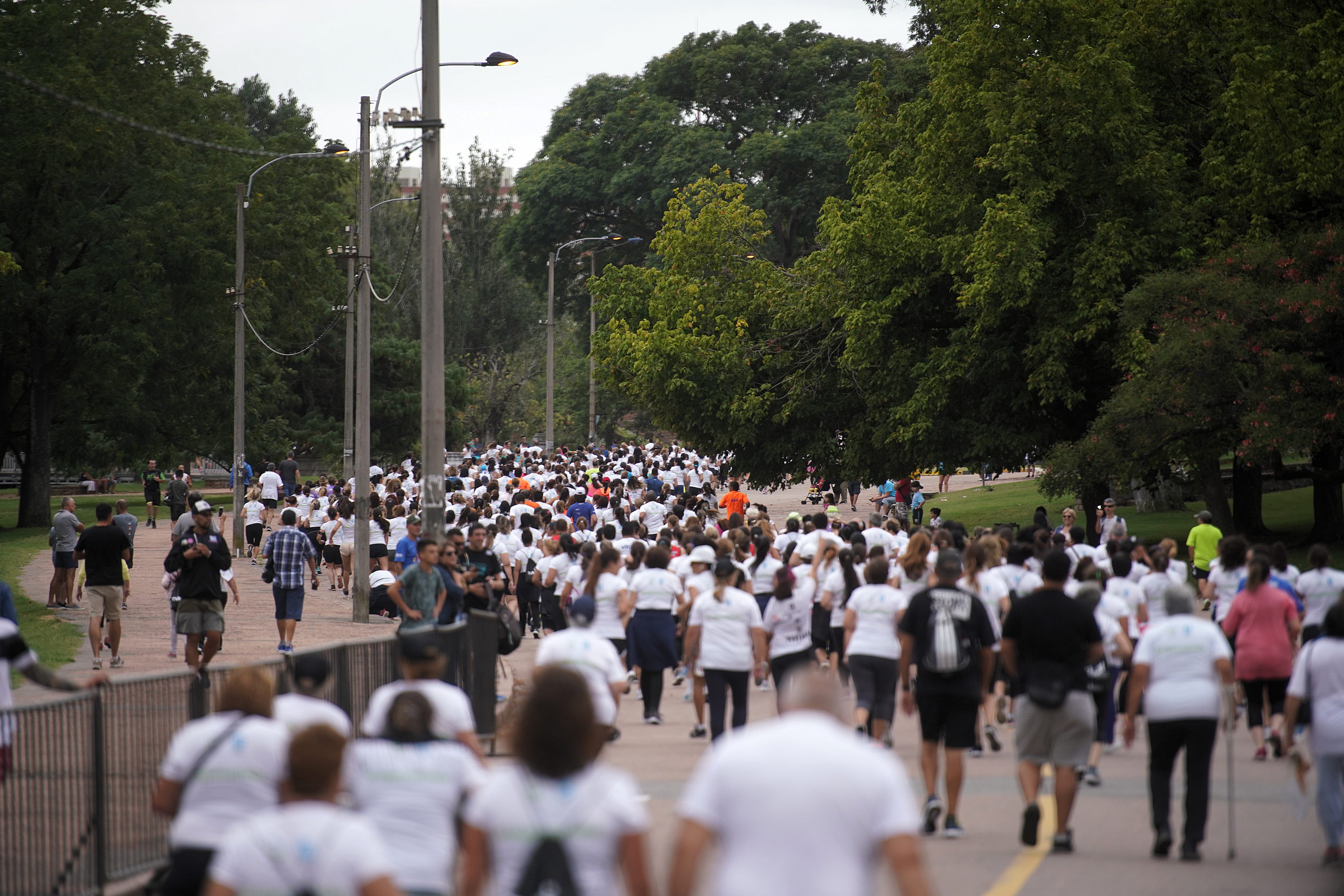 Carrera M5K en el Prado