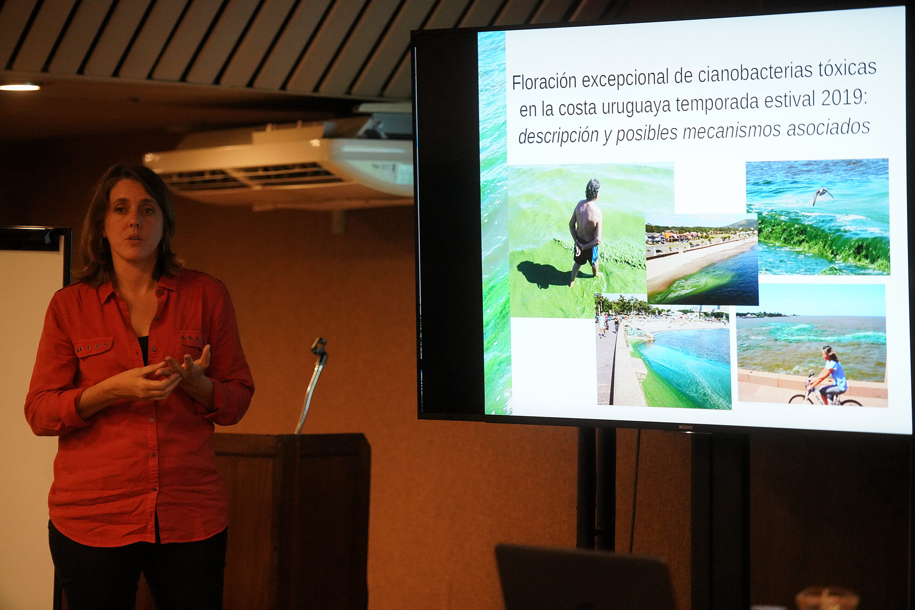 Taller sobre cianobacterias en el Uruguay