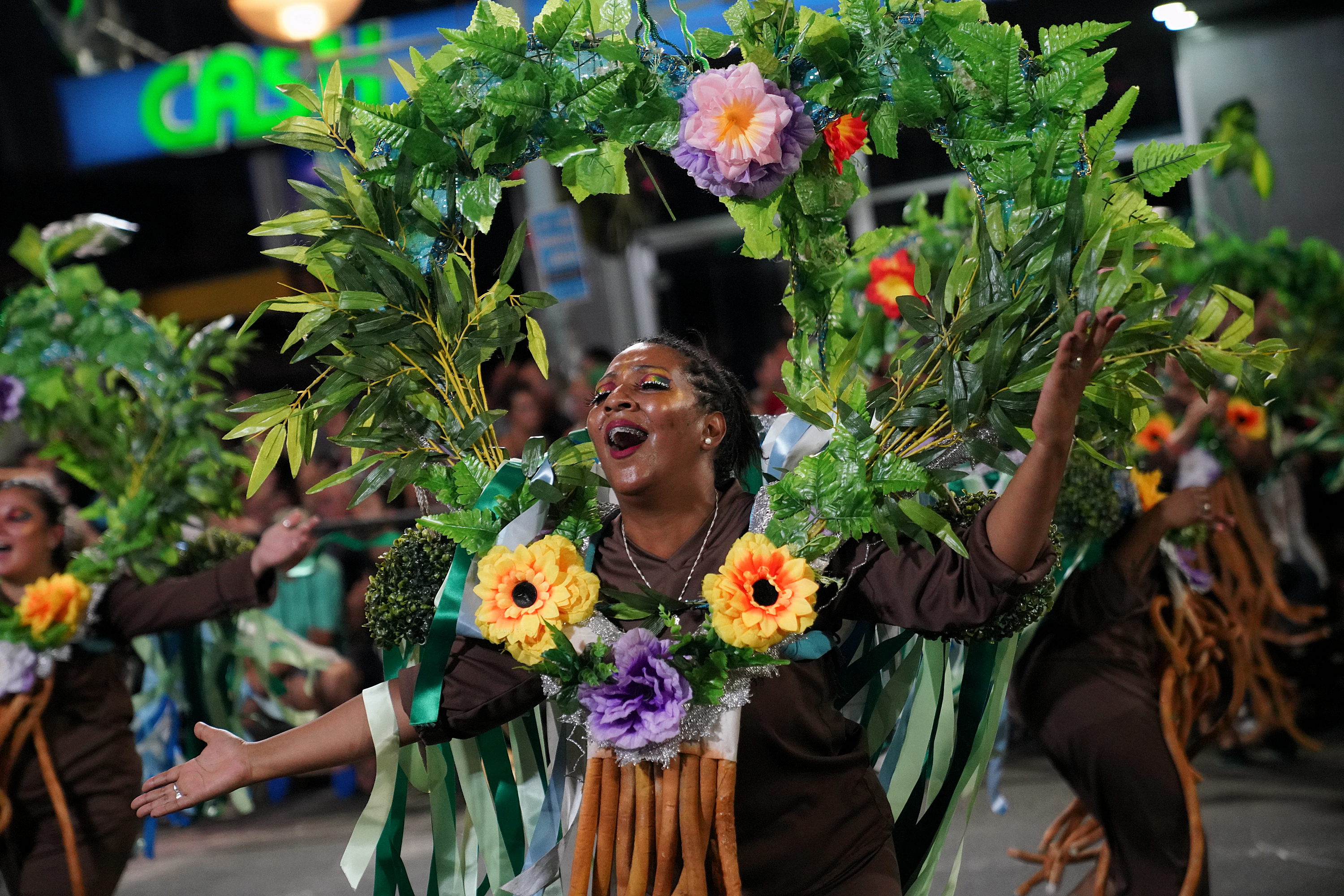 Desfile de Escuelas de Samba 2019