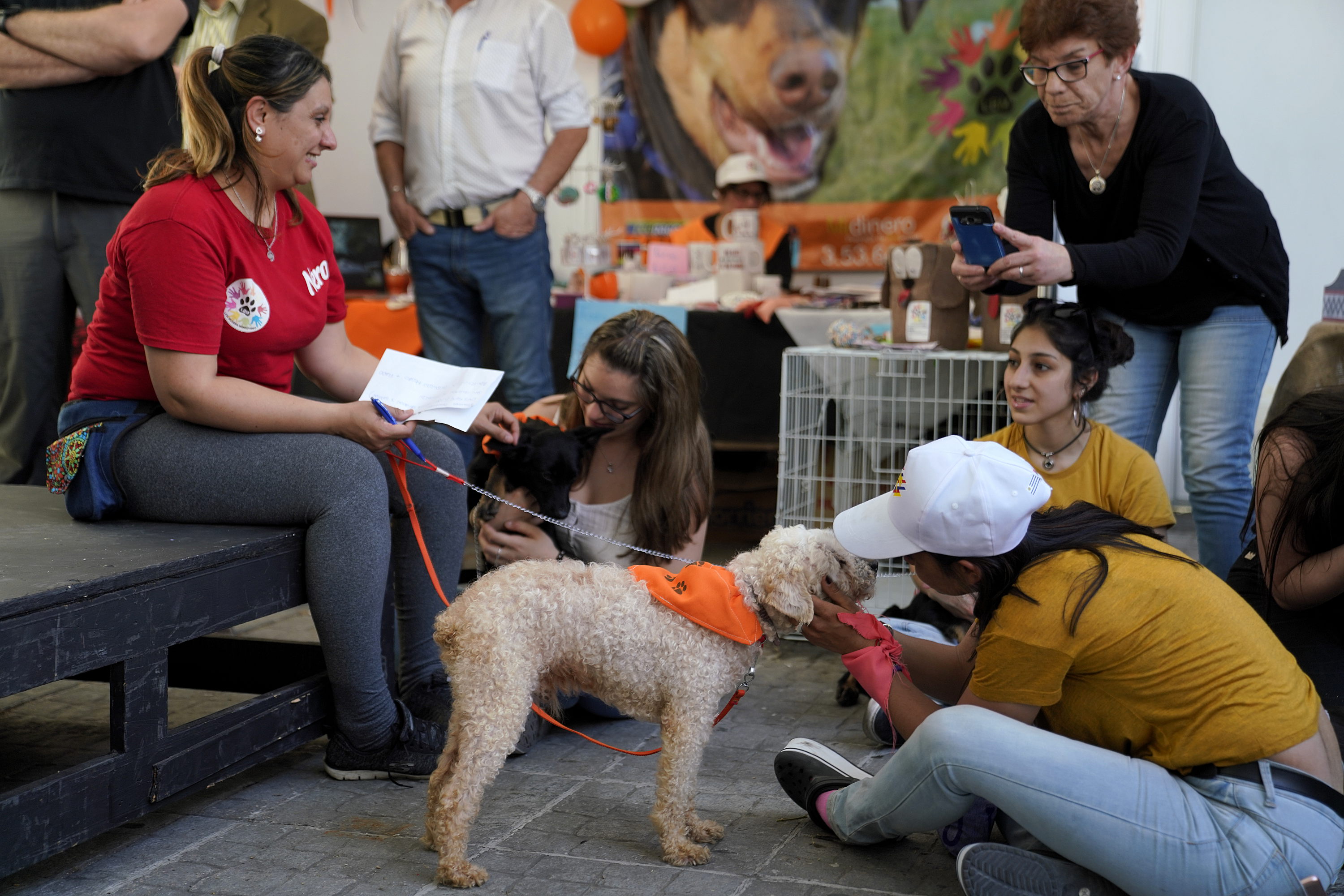 Jornada de adopción responsable de animales.